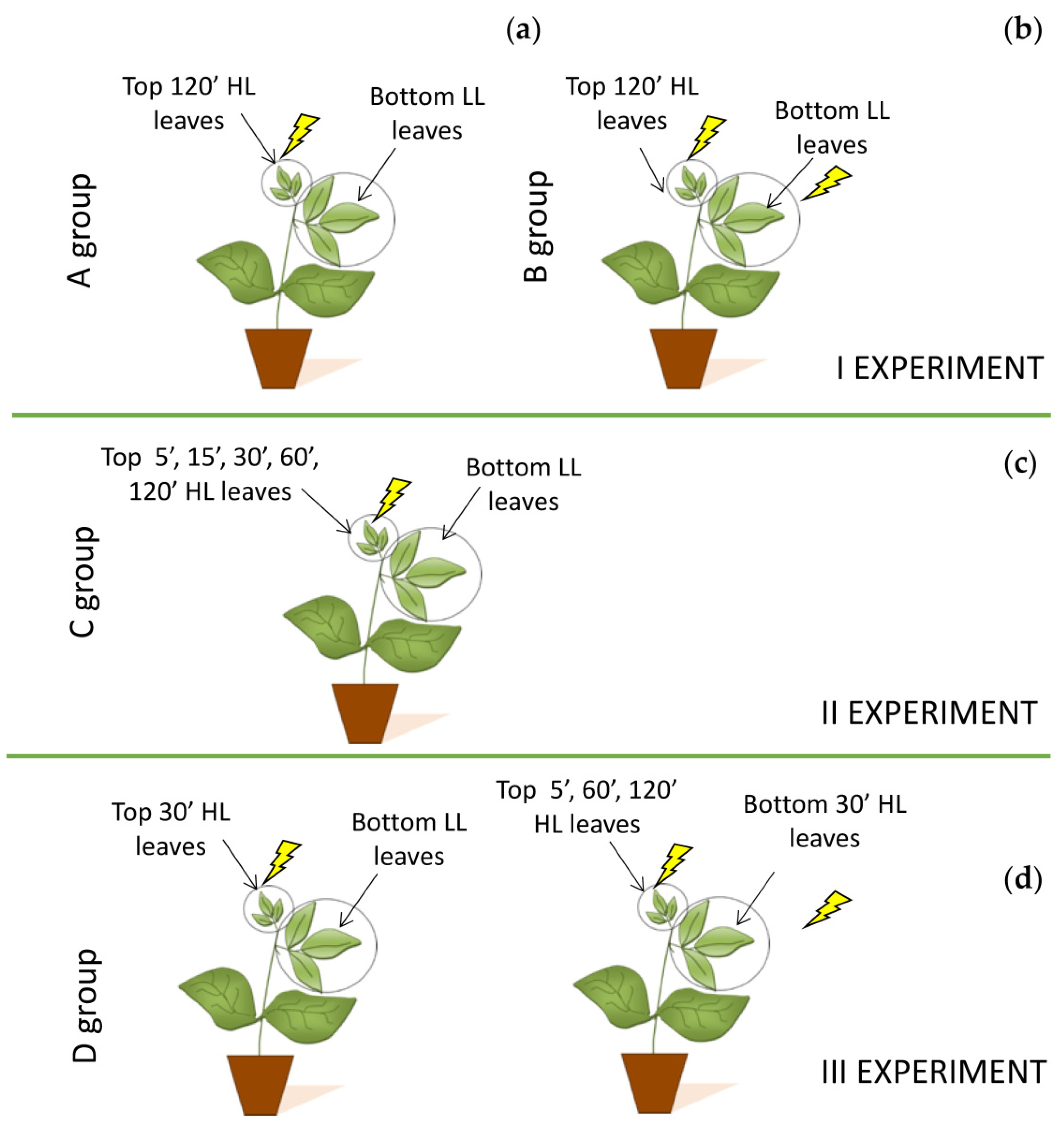 Plants 11 01870 g006