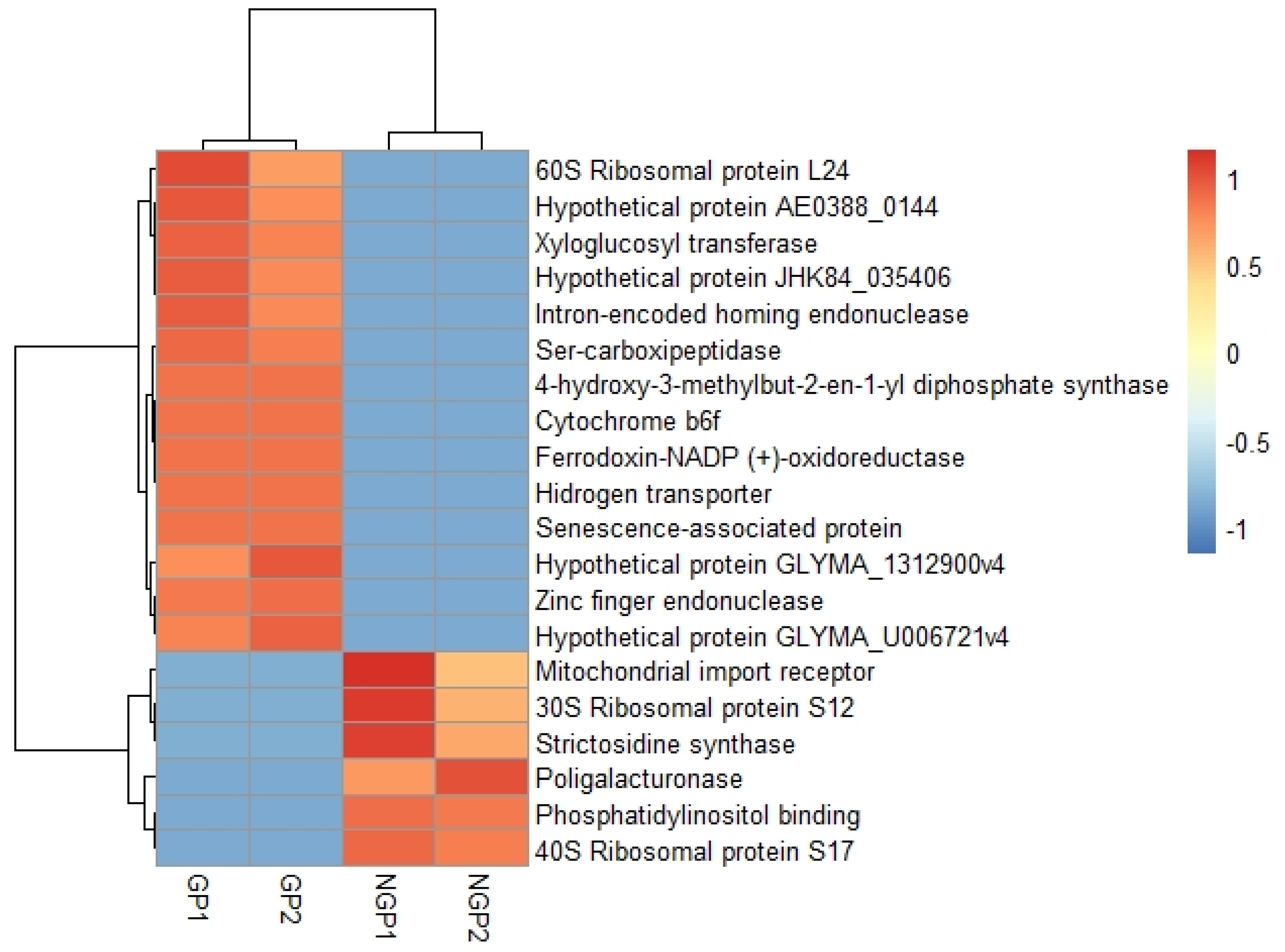 Plants 11 01879 g004