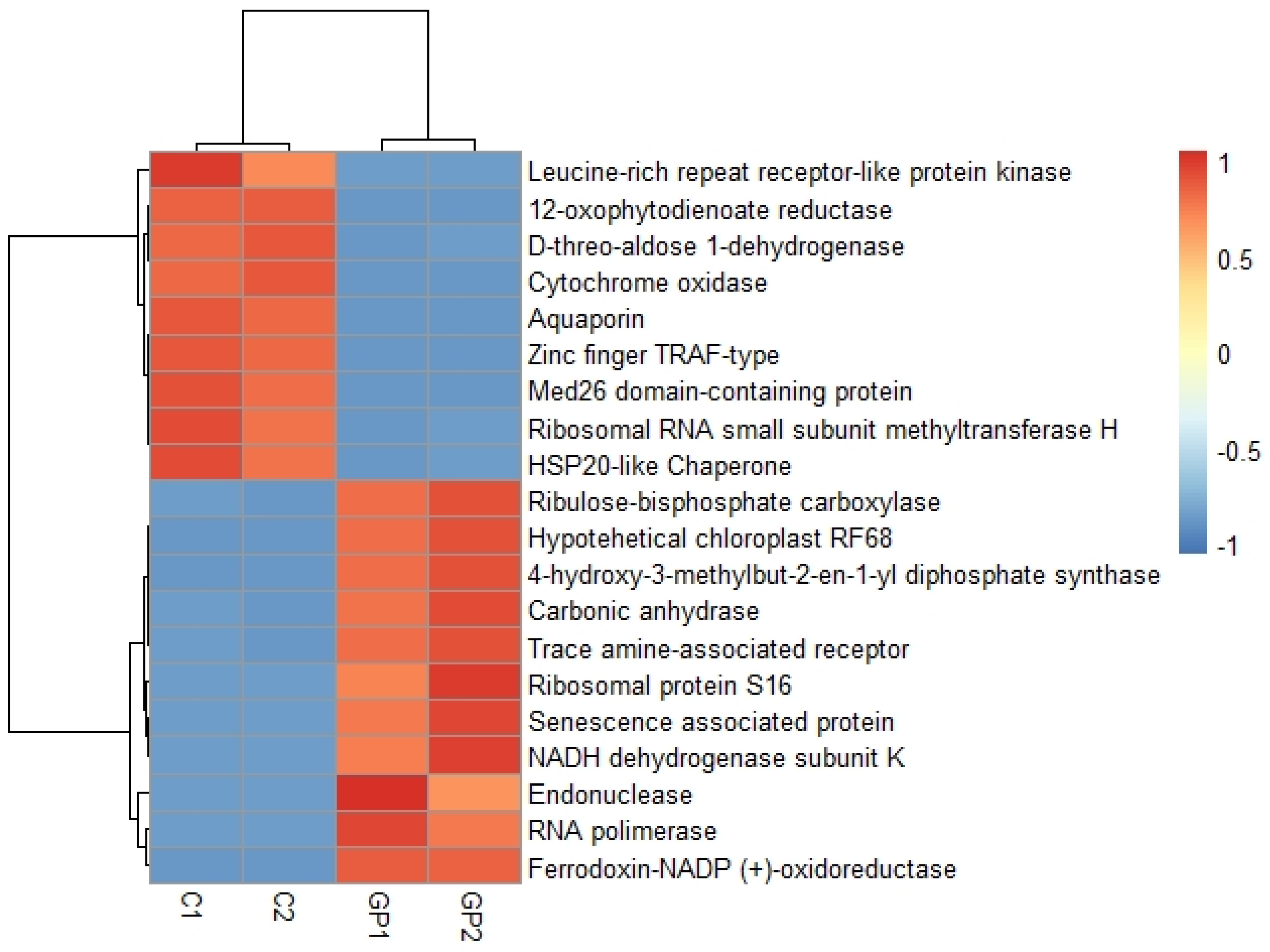 Plants 11 01879 g005