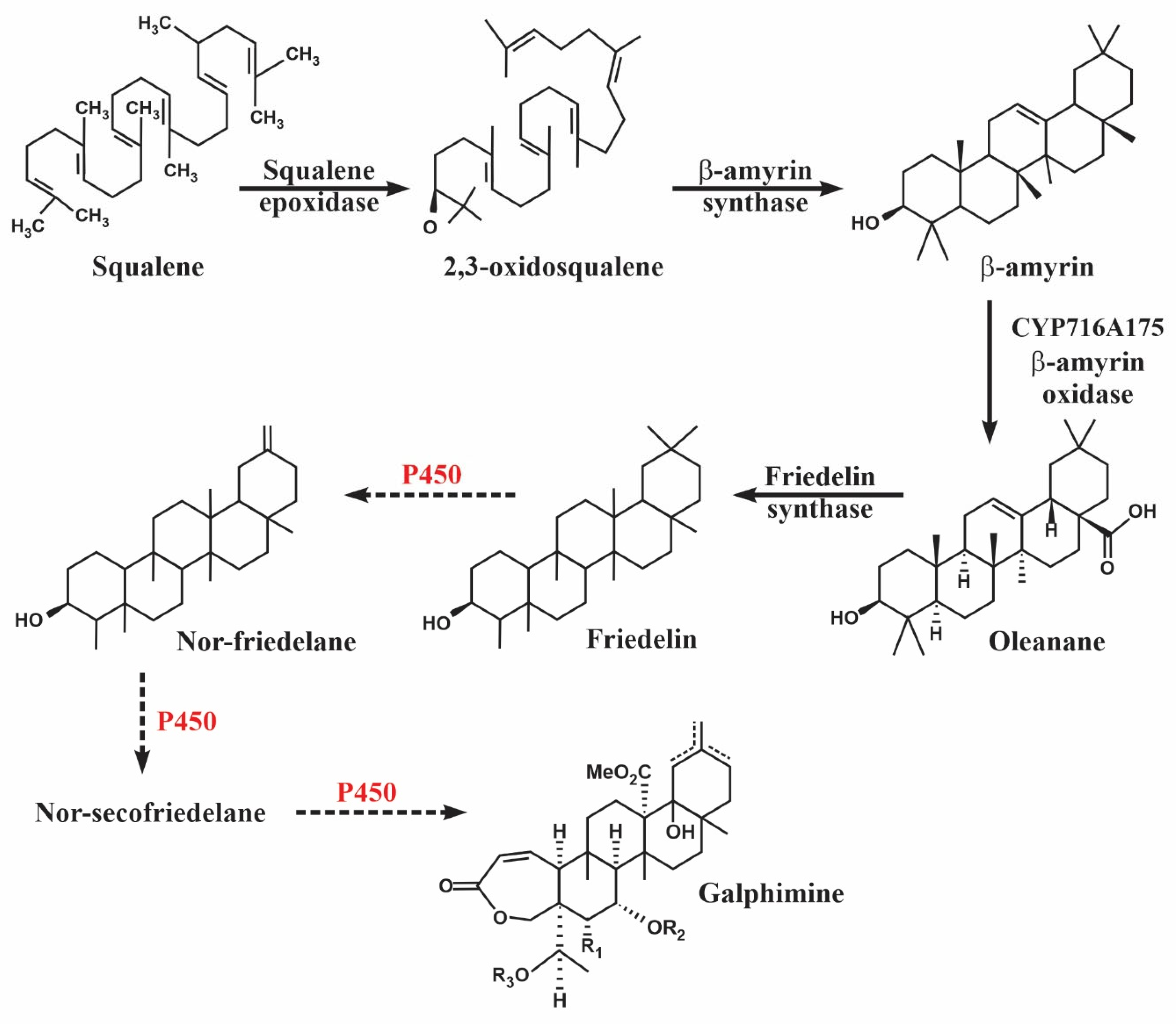 Plants 11 01879 g009