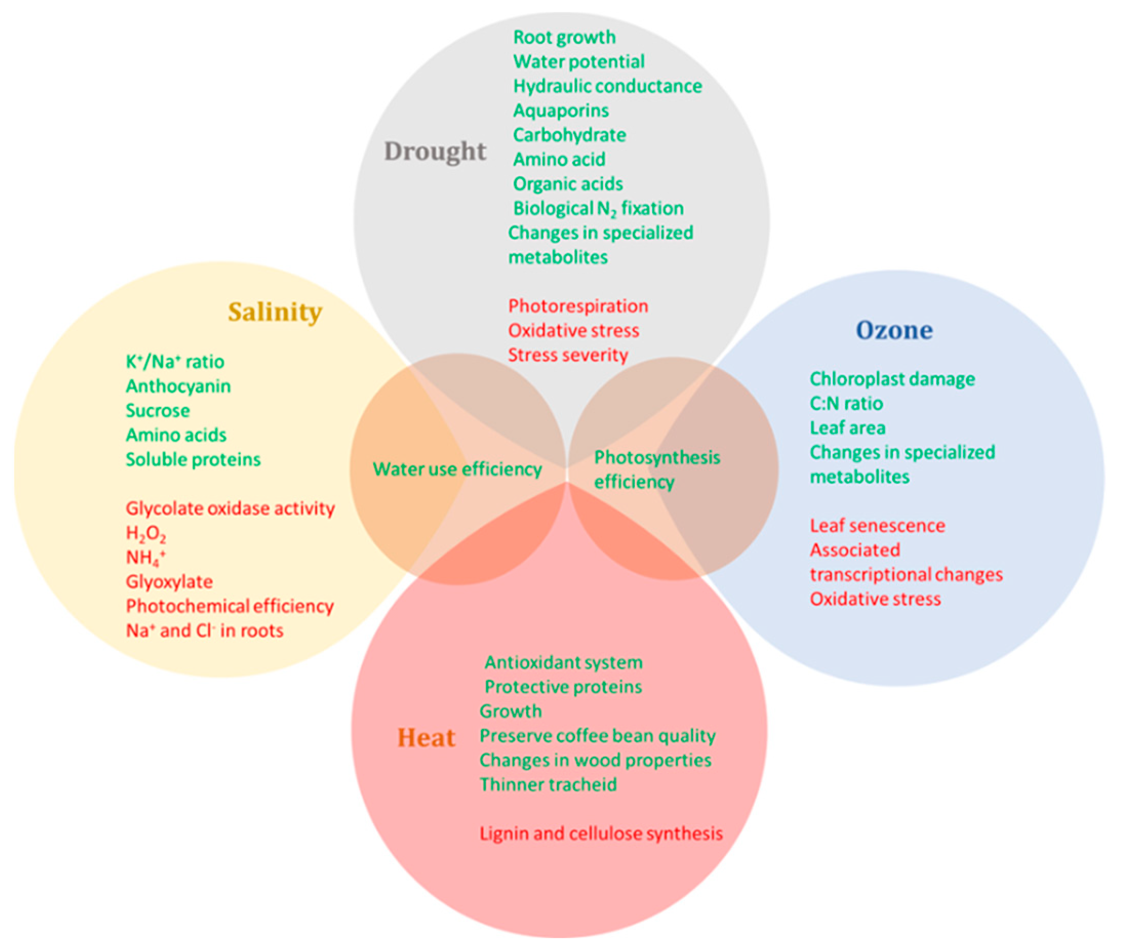 Plants 11 01880 g001