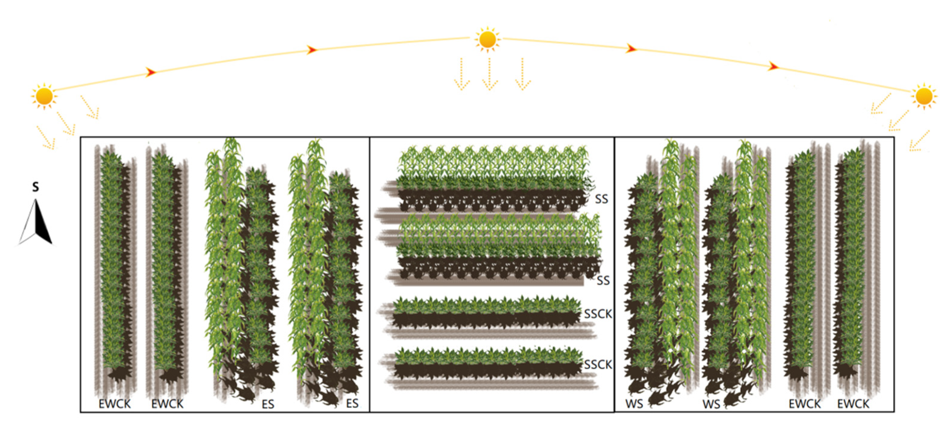 Plants 11 01883 g001