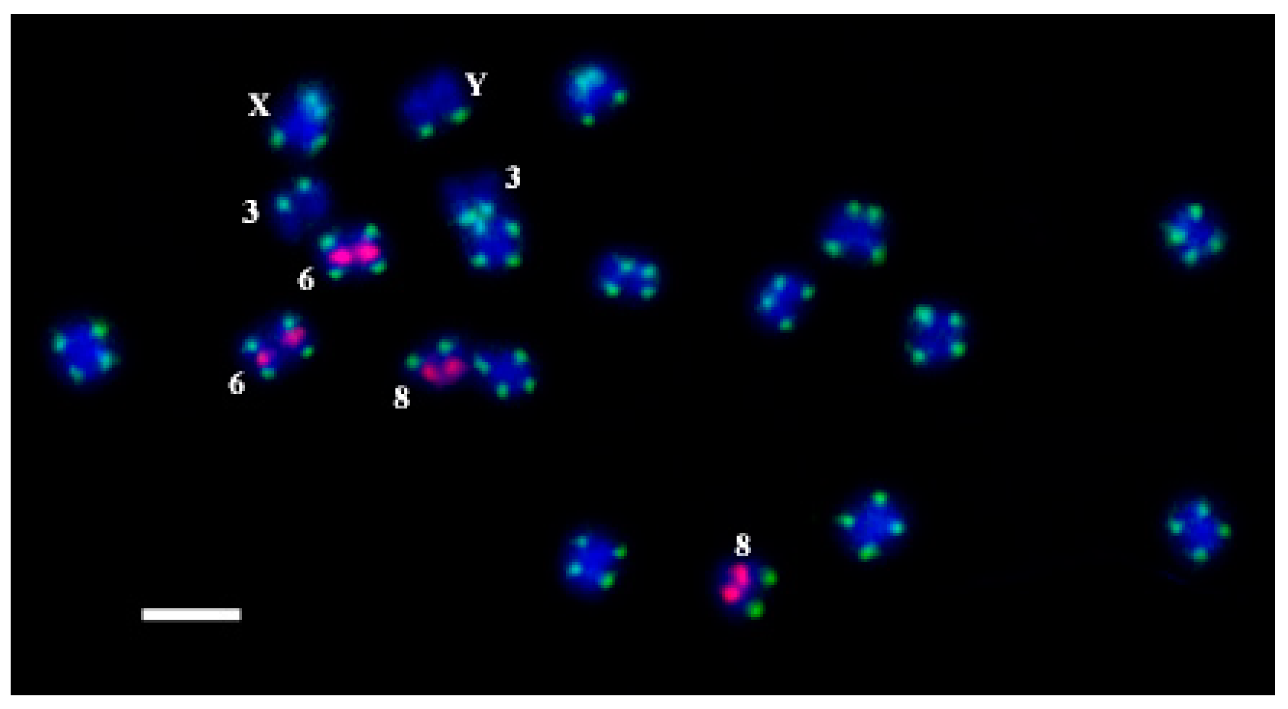 Plants 11 01900 g002