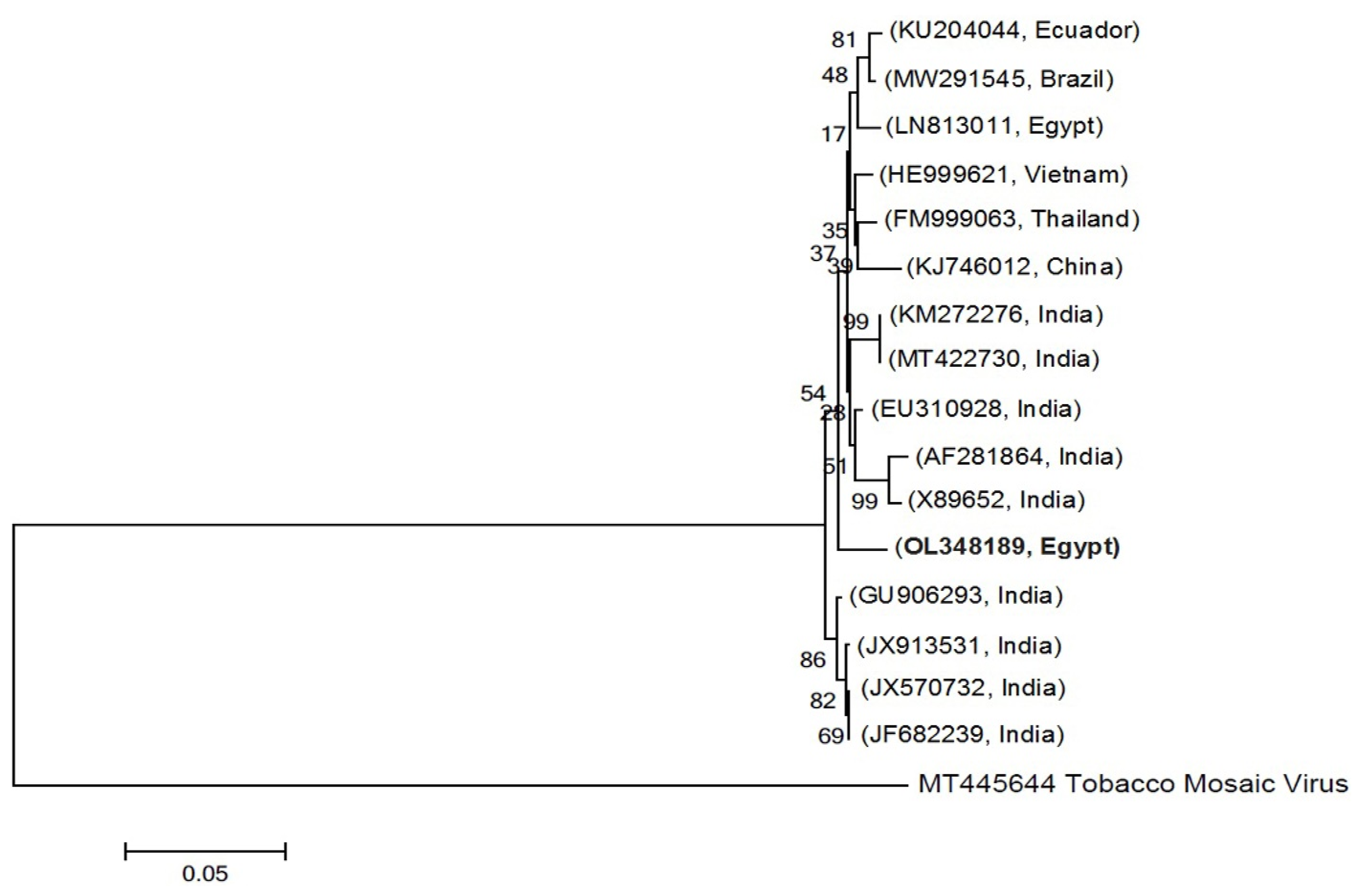 Plants 11 01908 g002