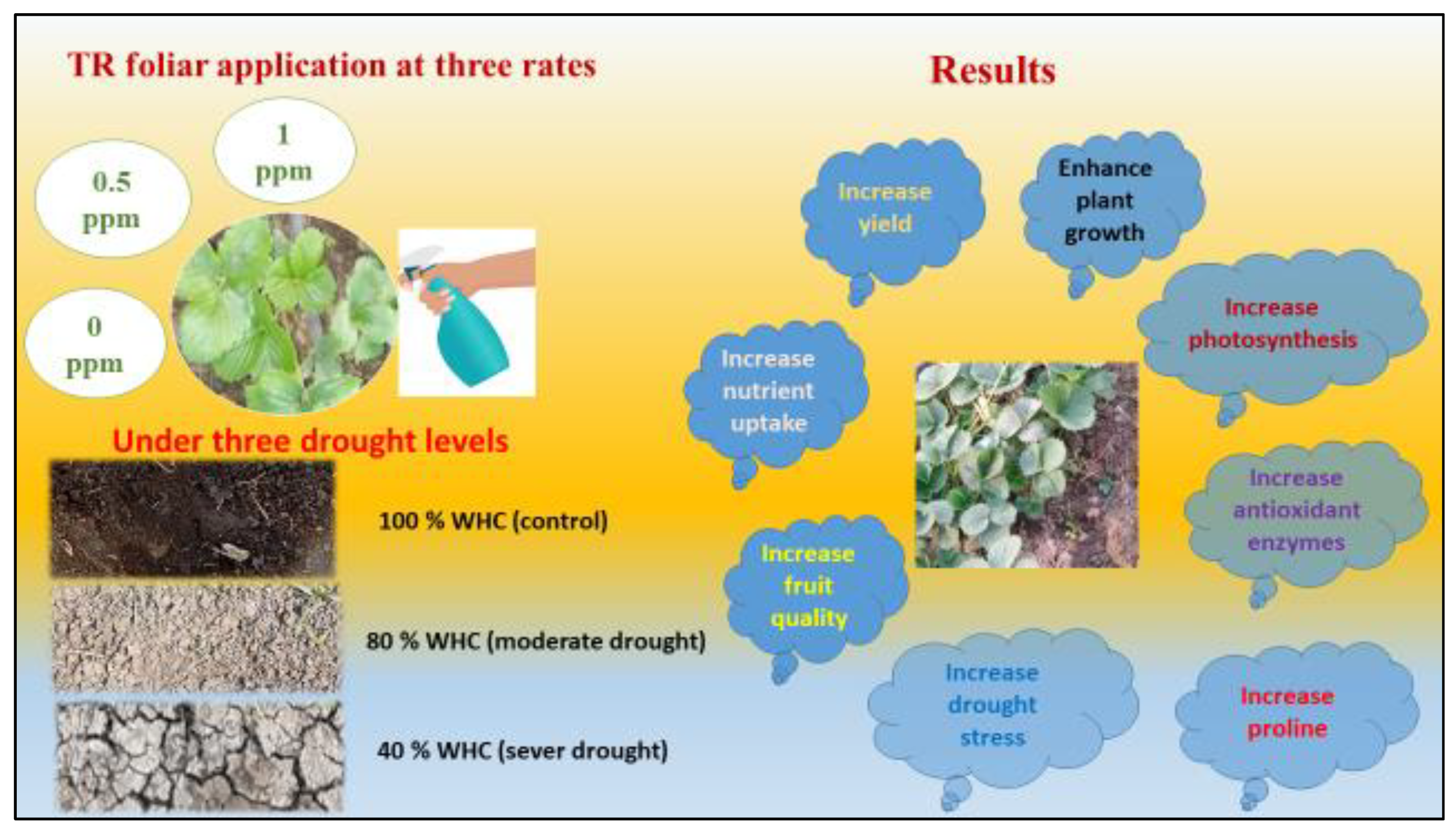 Plants 11 01913 g009