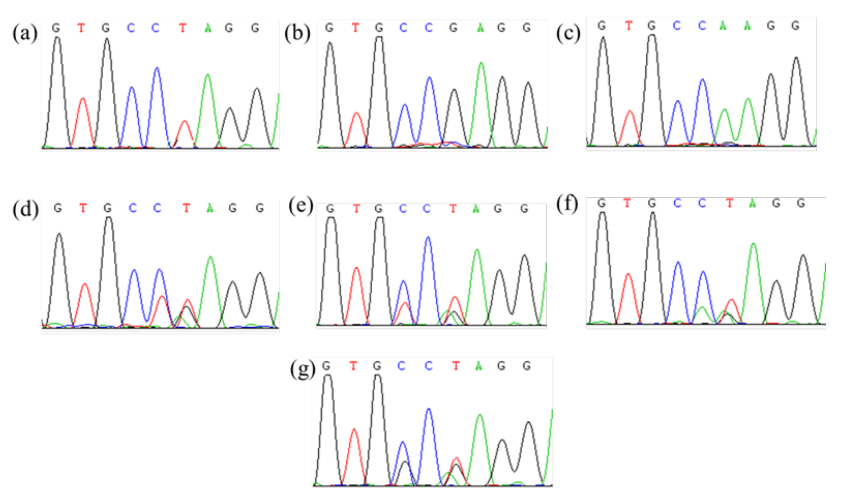 Plants 11 01926 g002