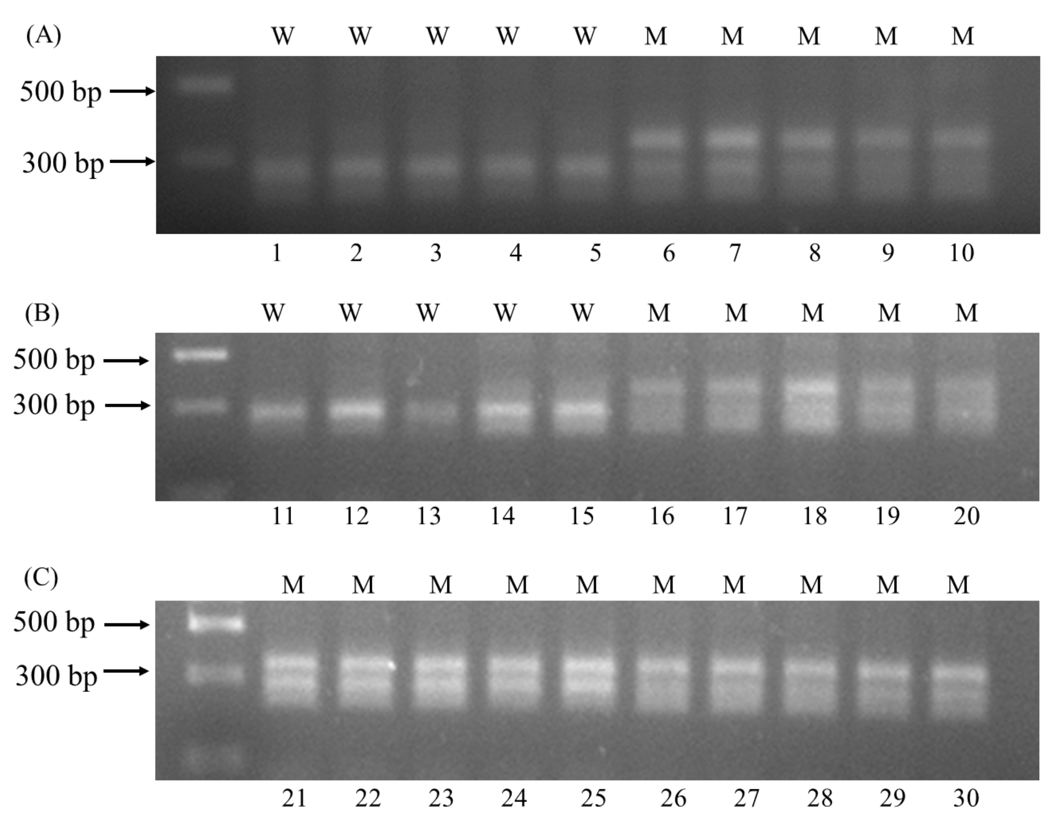 Plants 11 01926 g003