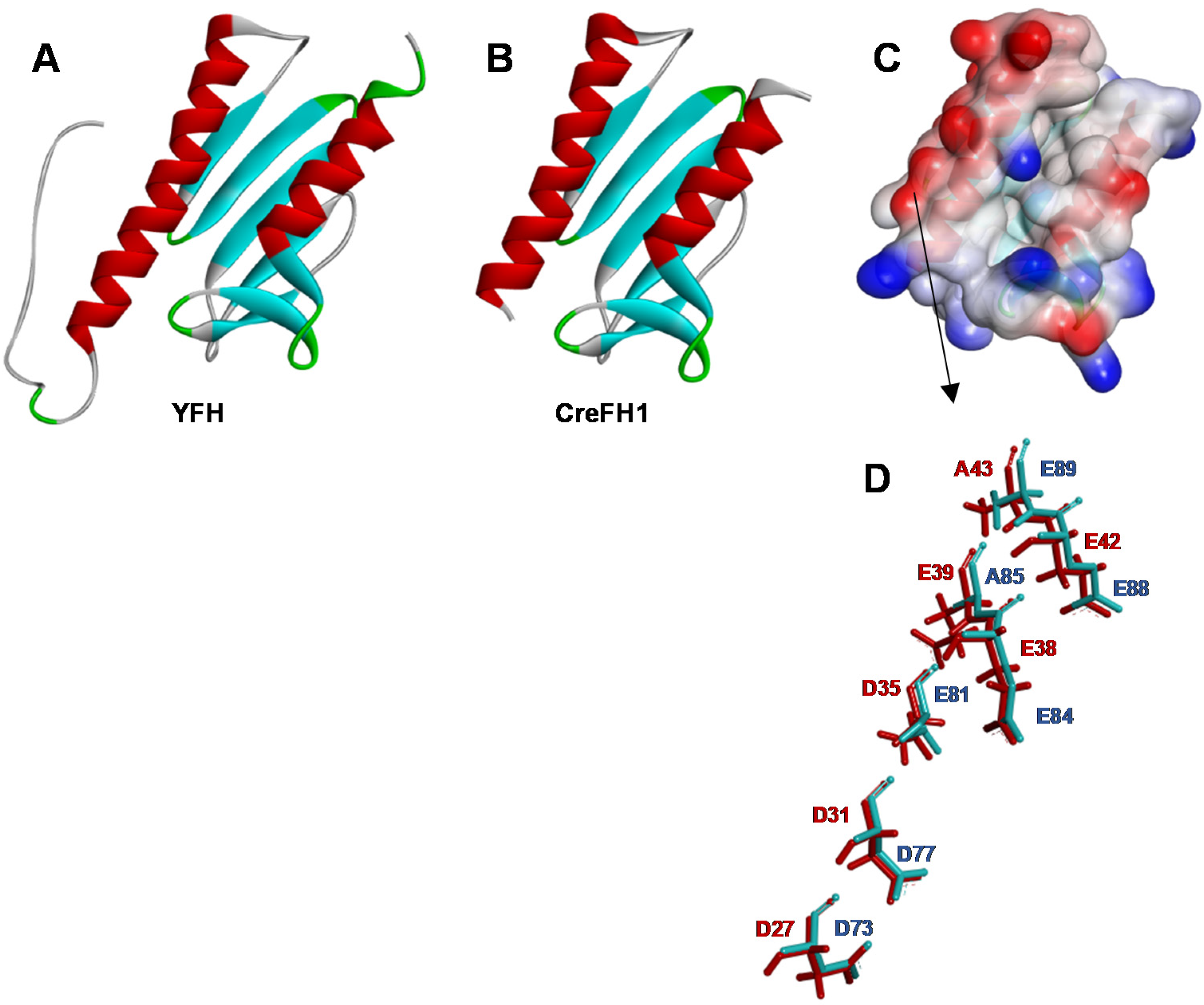 Plants 11 01931 g002
