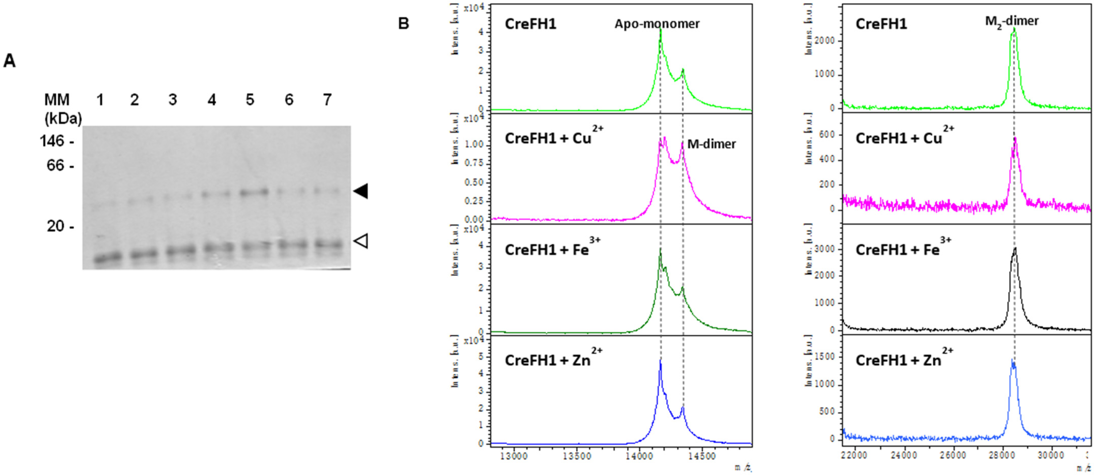 Plants 11 01931 g004