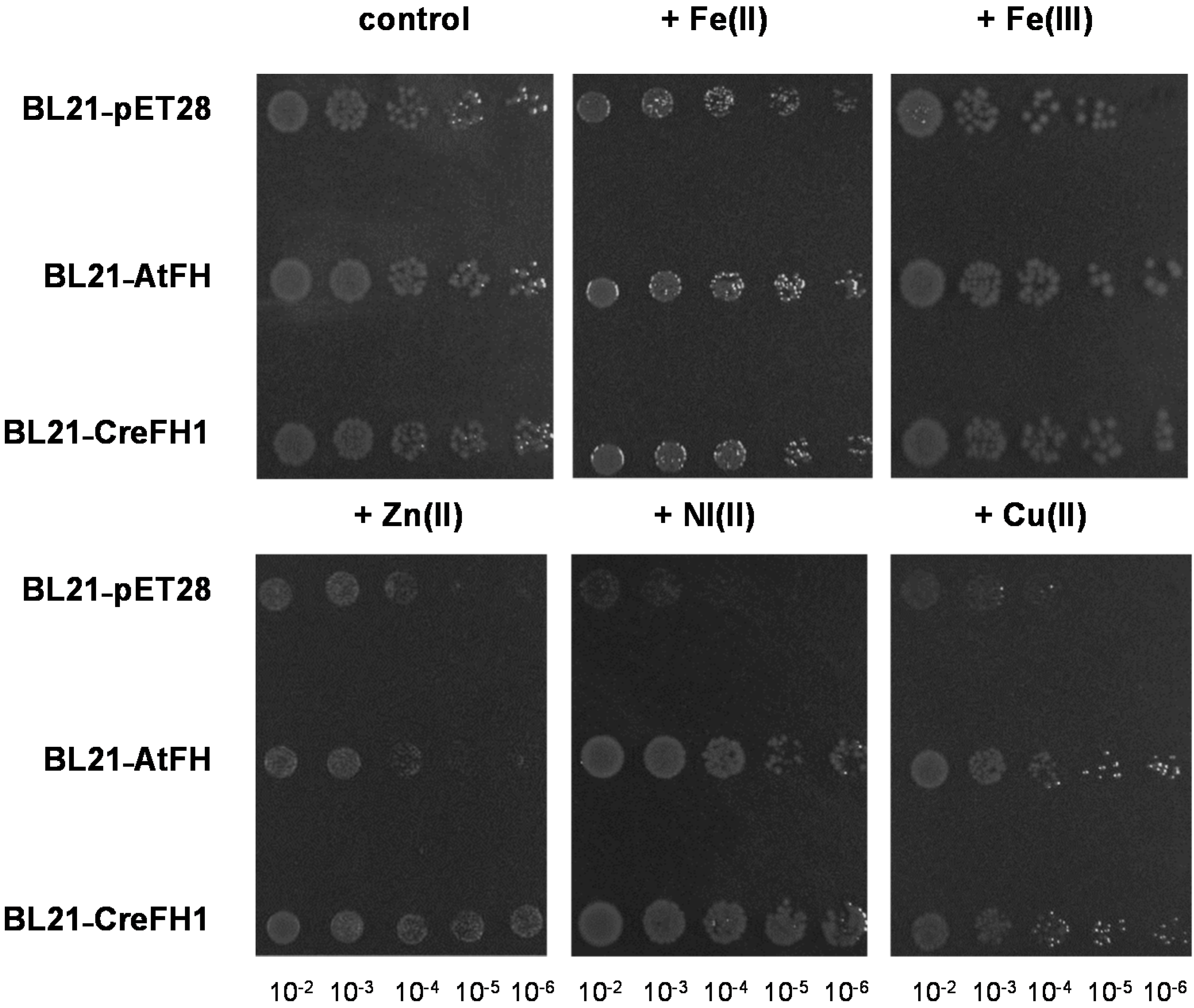 Plants 11 01931 g007