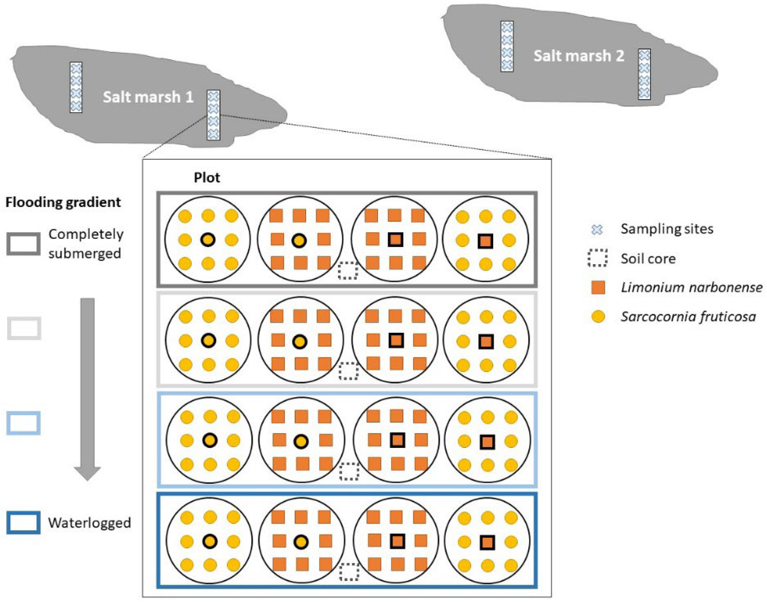 Plants 11 01940 g006