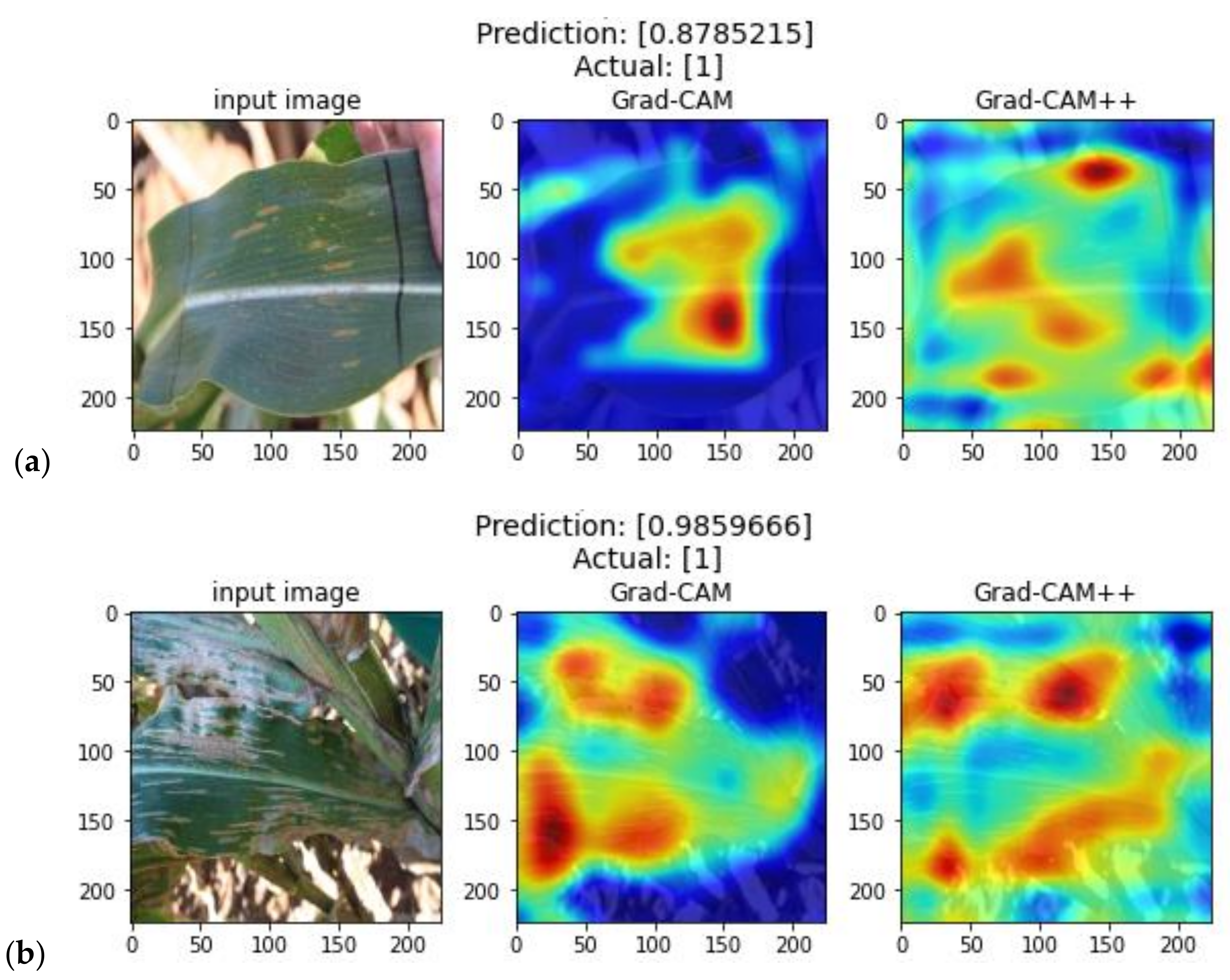 Plants 11 01942 g005a