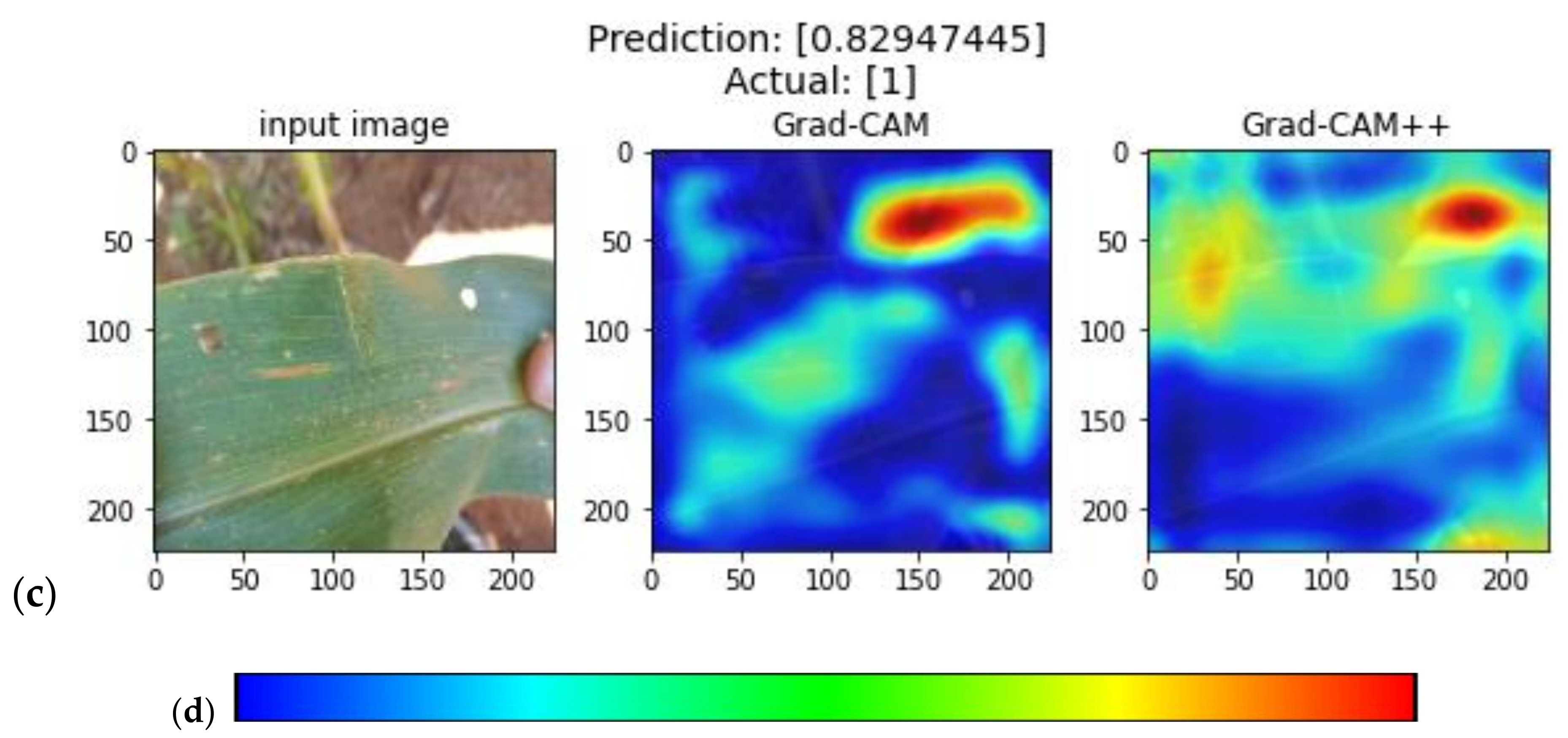 Plants 11 01942 g005b