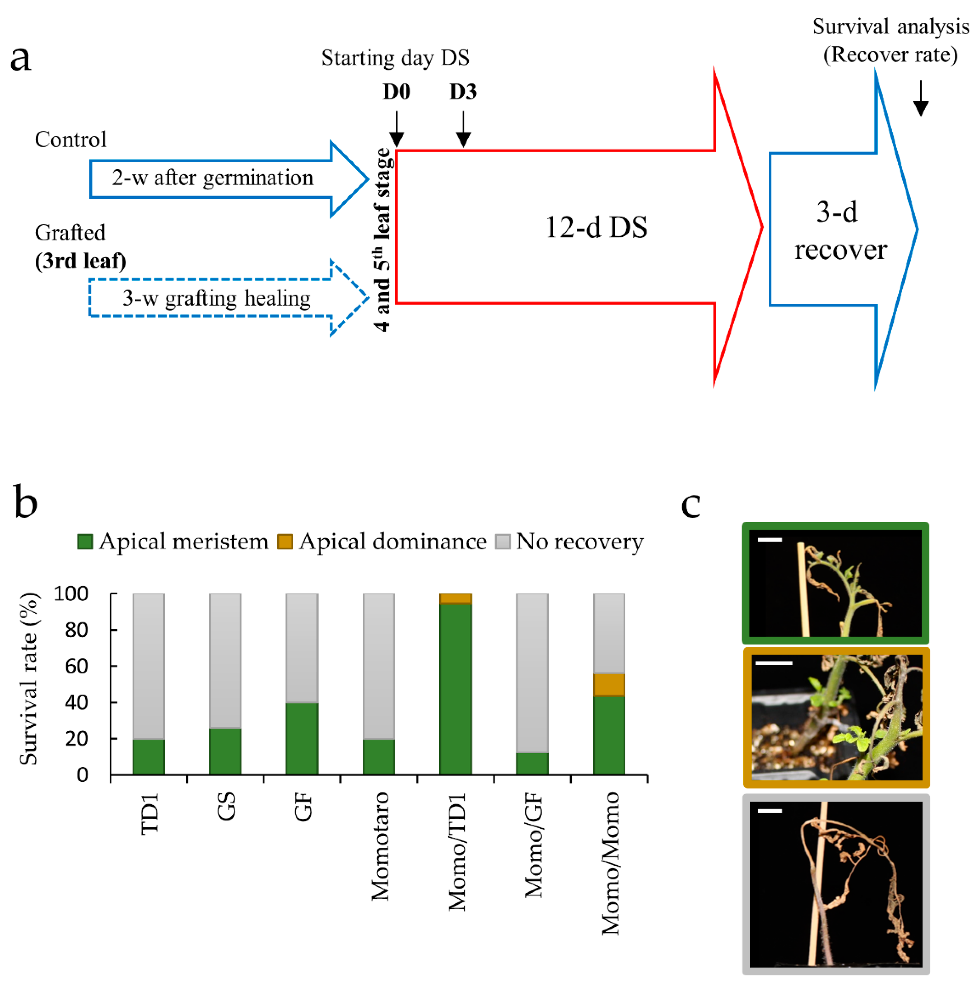 Plants 11 01947 g001