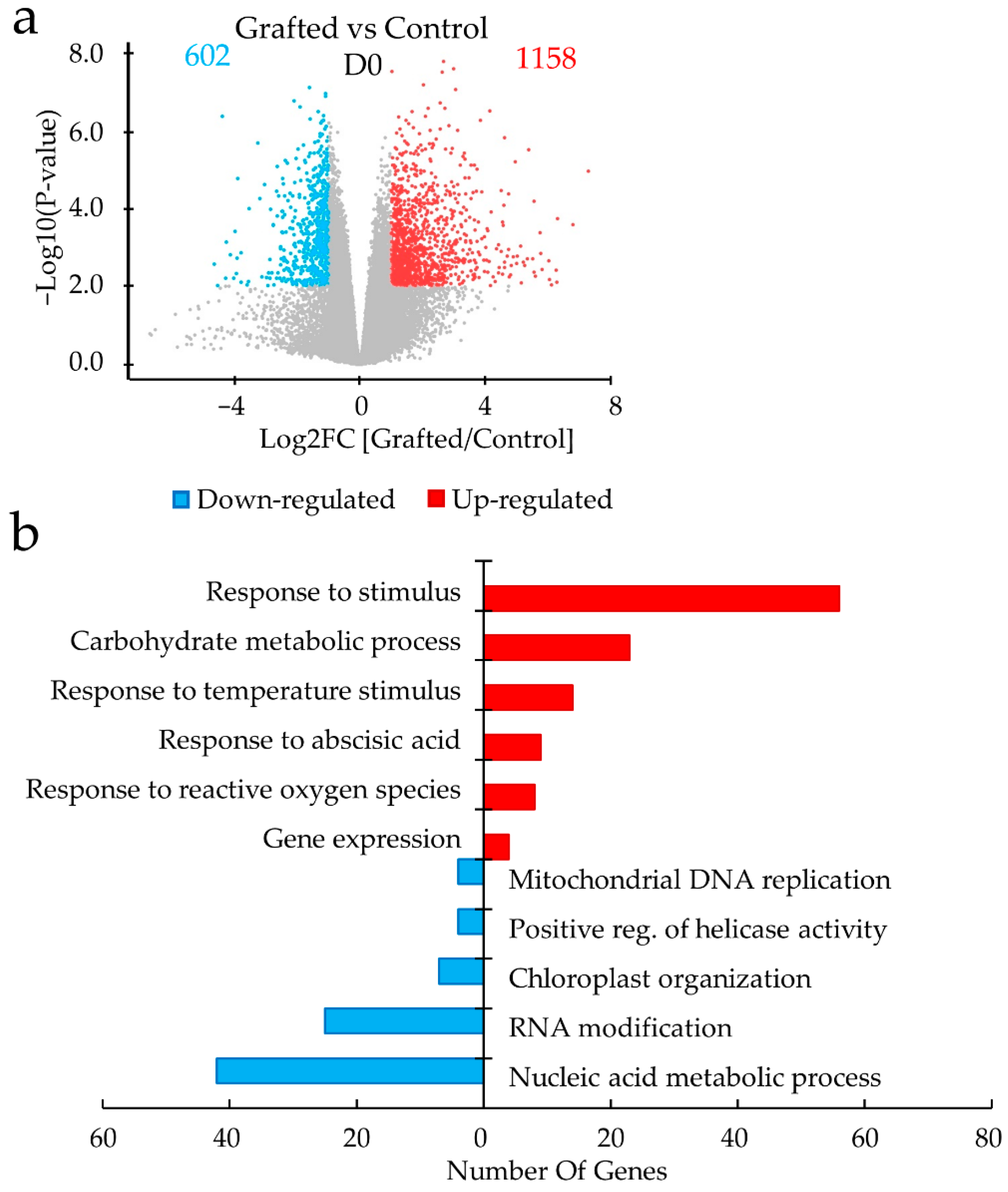 Plants 11 01947 g003