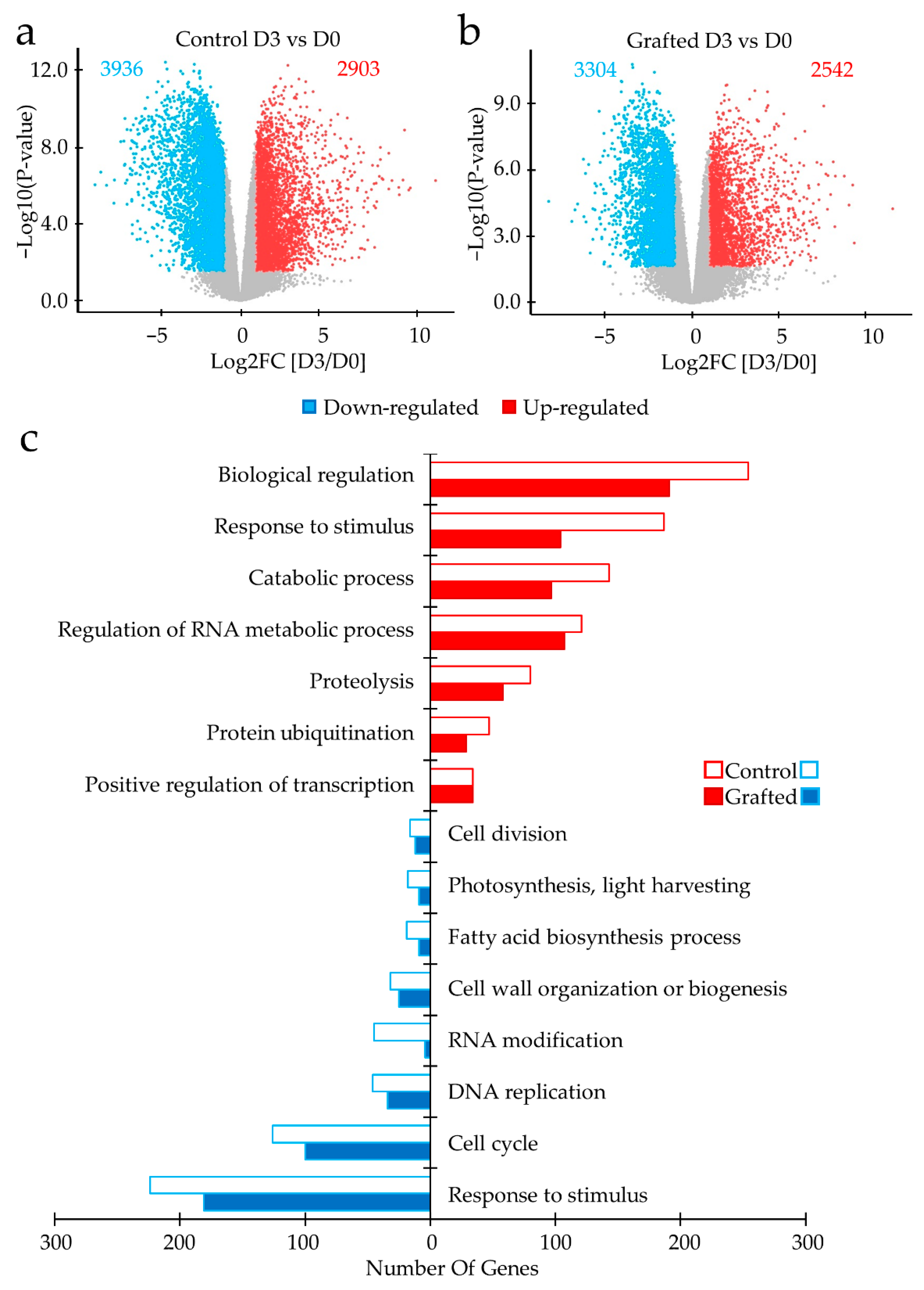 Plants 11 01947 g004a