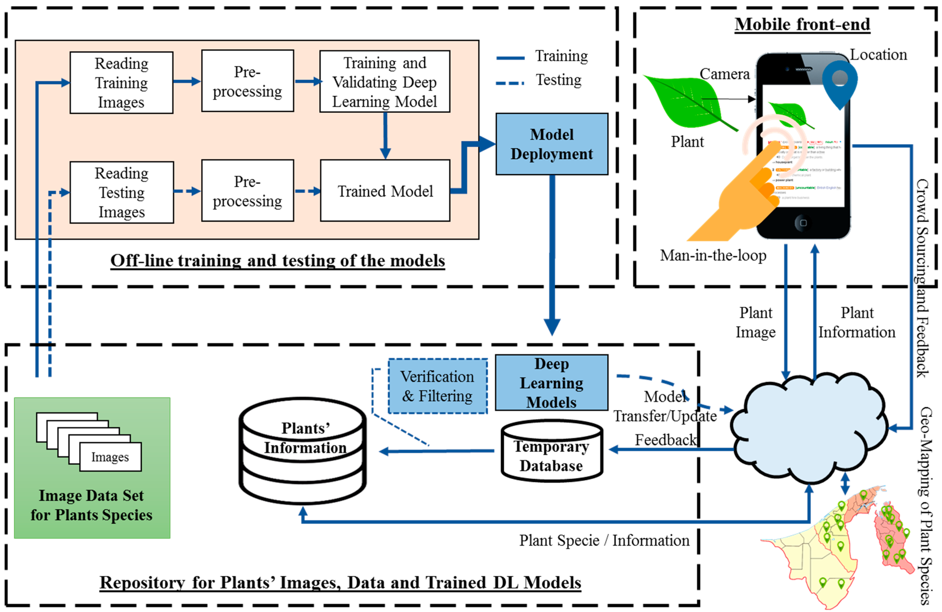Plants 11 01952 g001