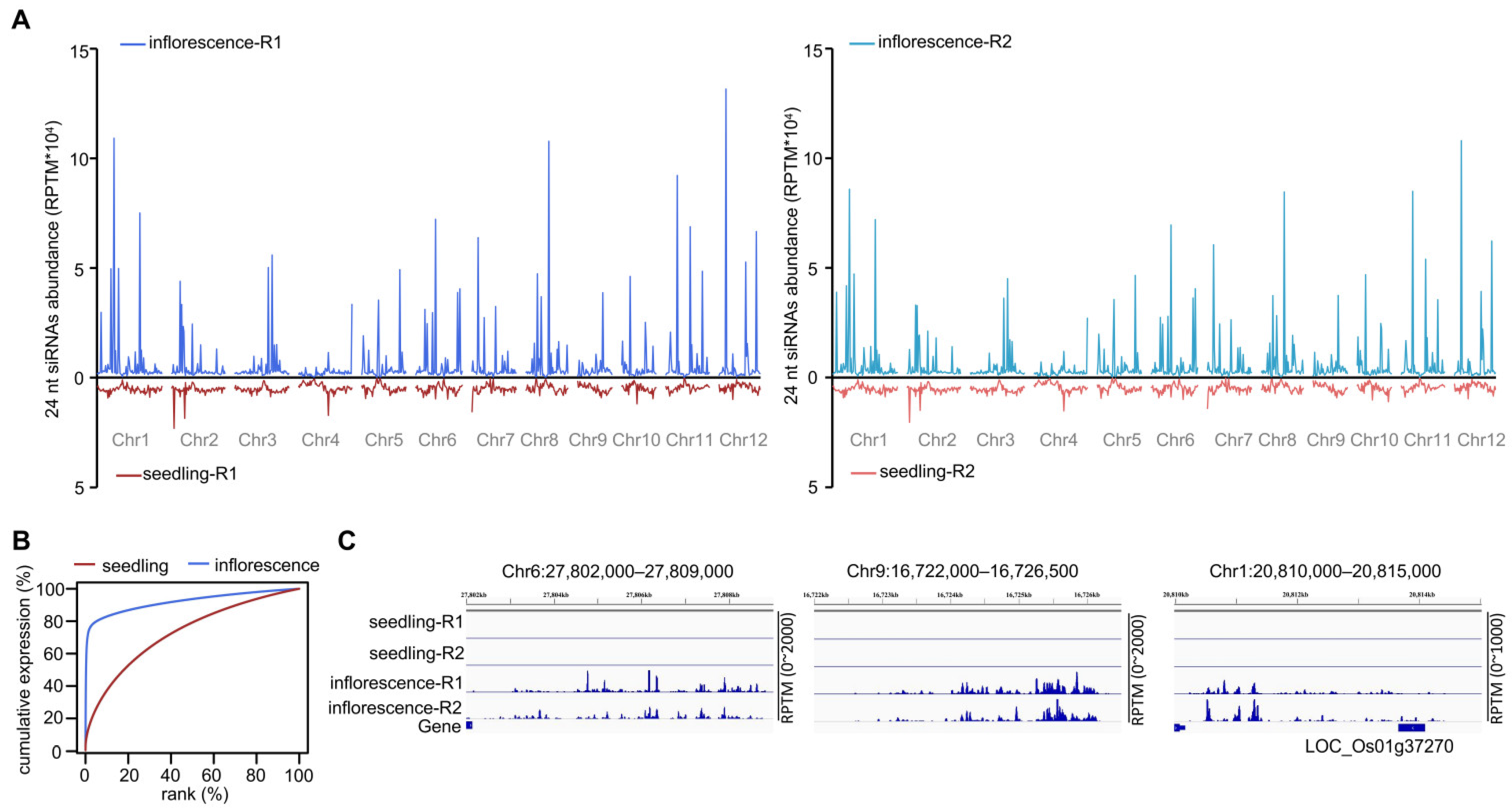 Plants 11 01957 g001