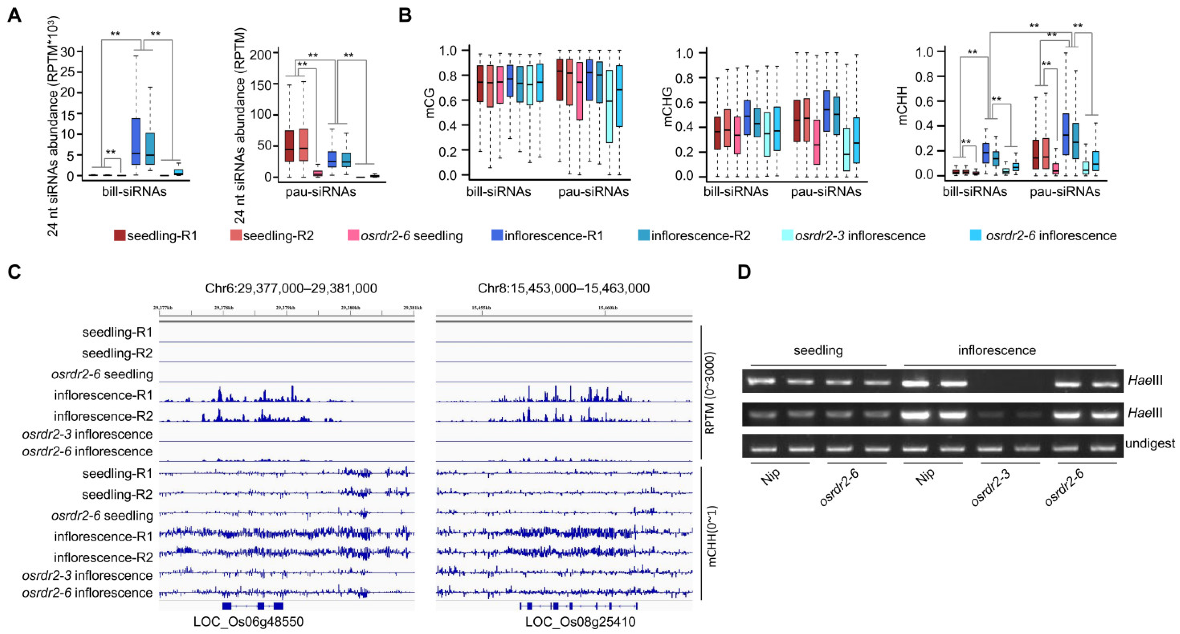 Plants 11 01957 g003