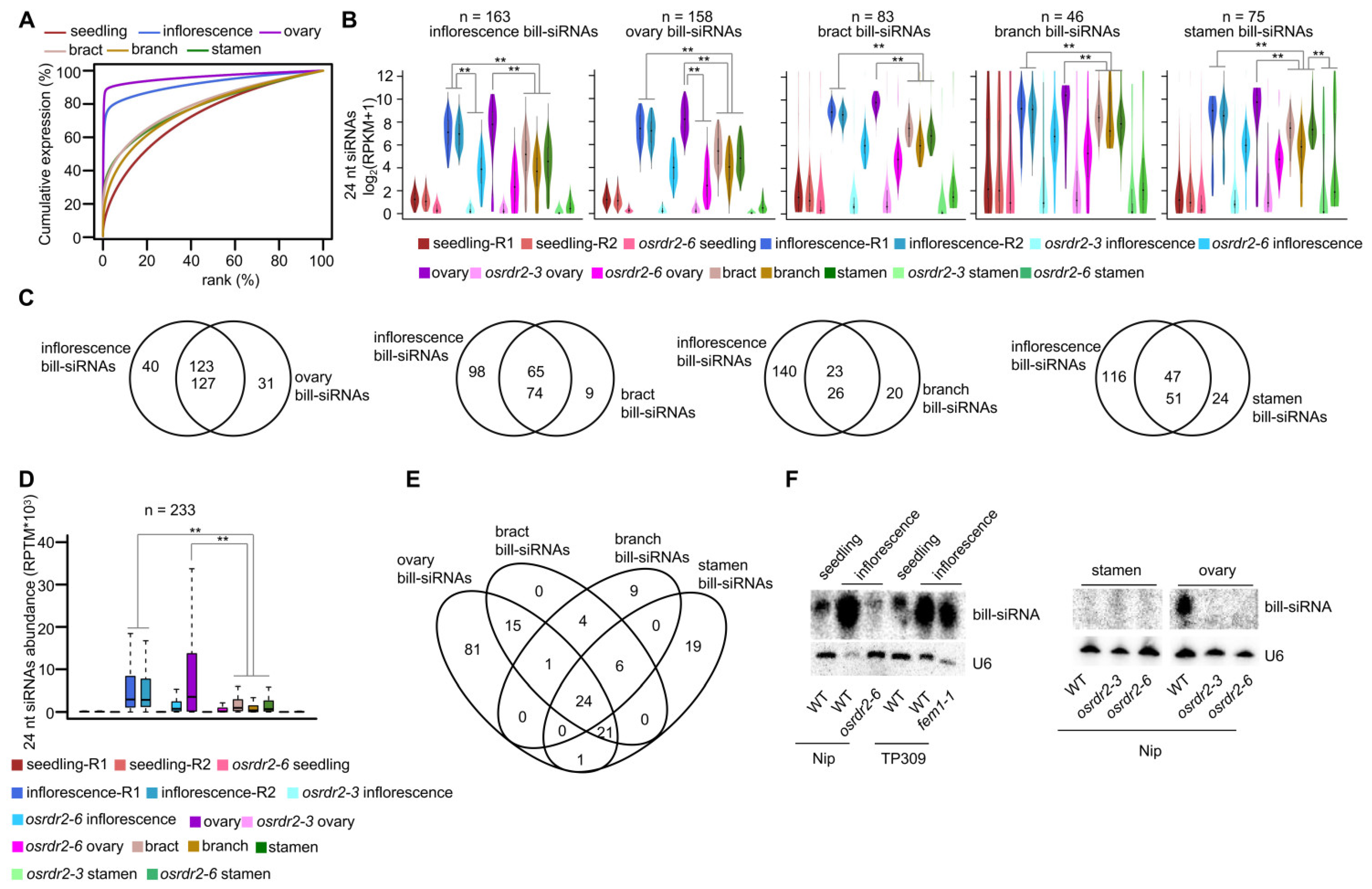 Plants 11 01957 g004