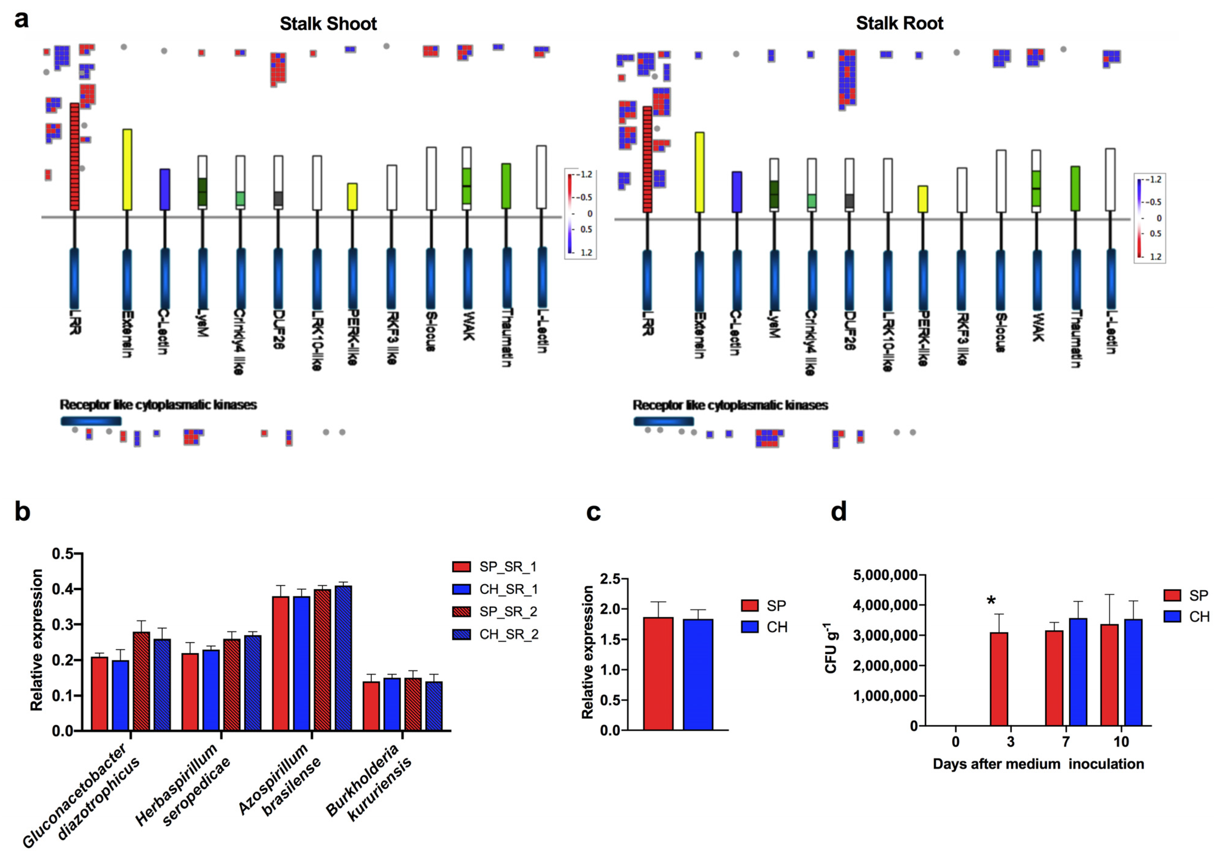 Plants 11 01971 g005