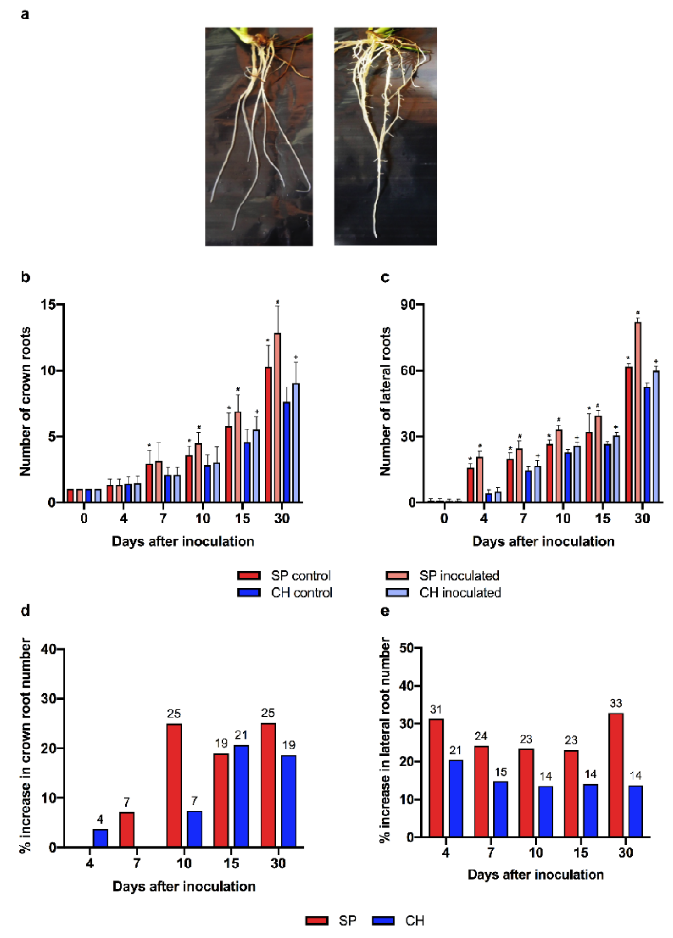 Plants 11 01971 g008