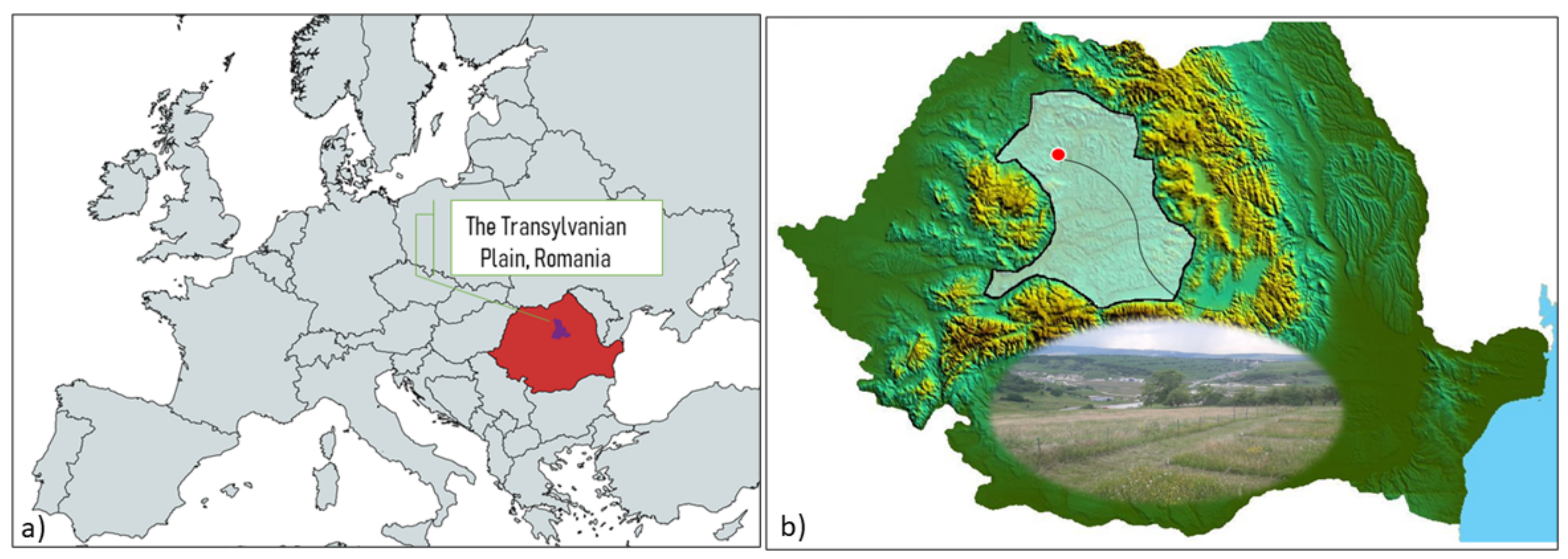Plants 11 01975 g005