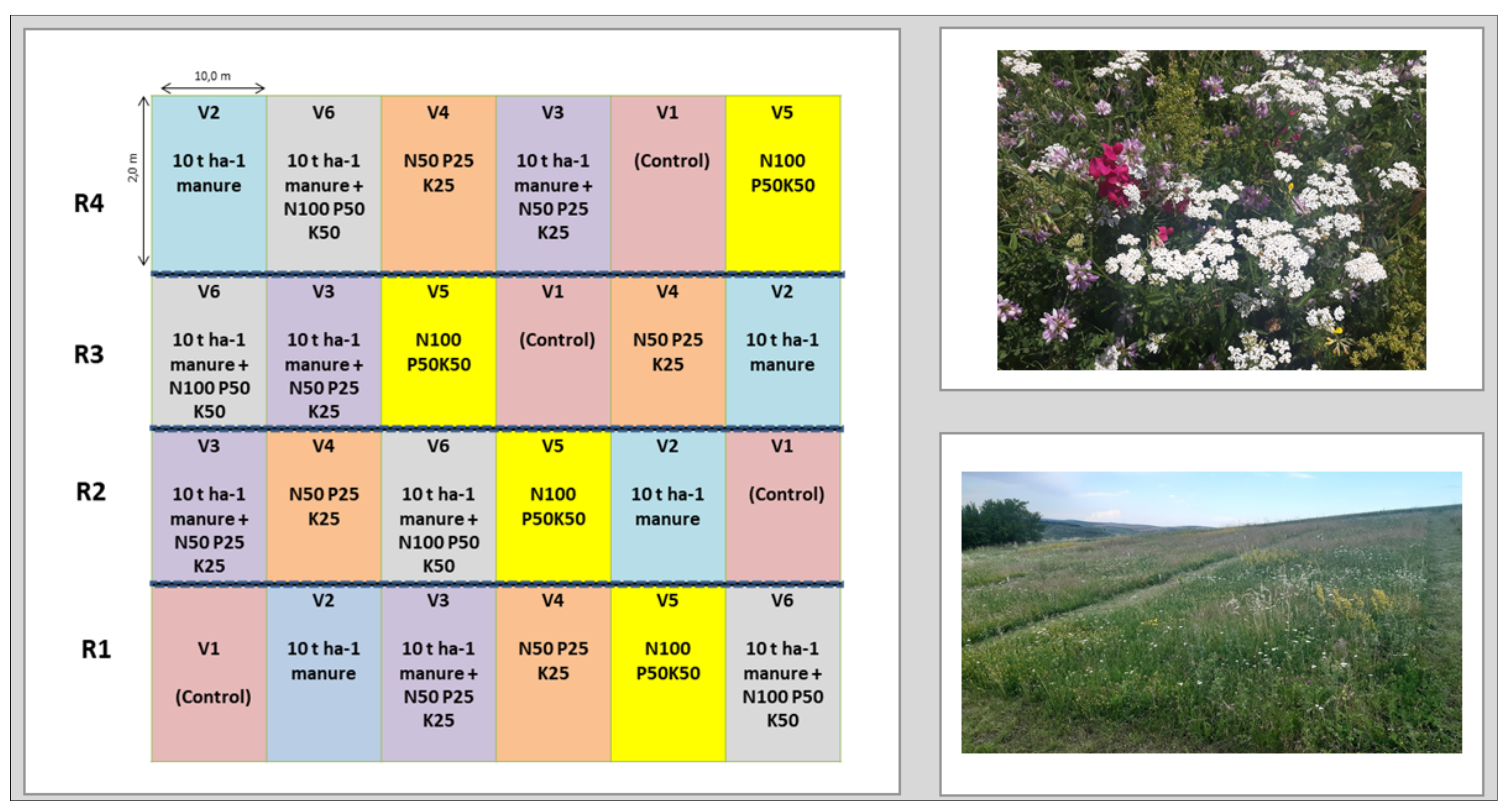 Plants 11 01975 g006