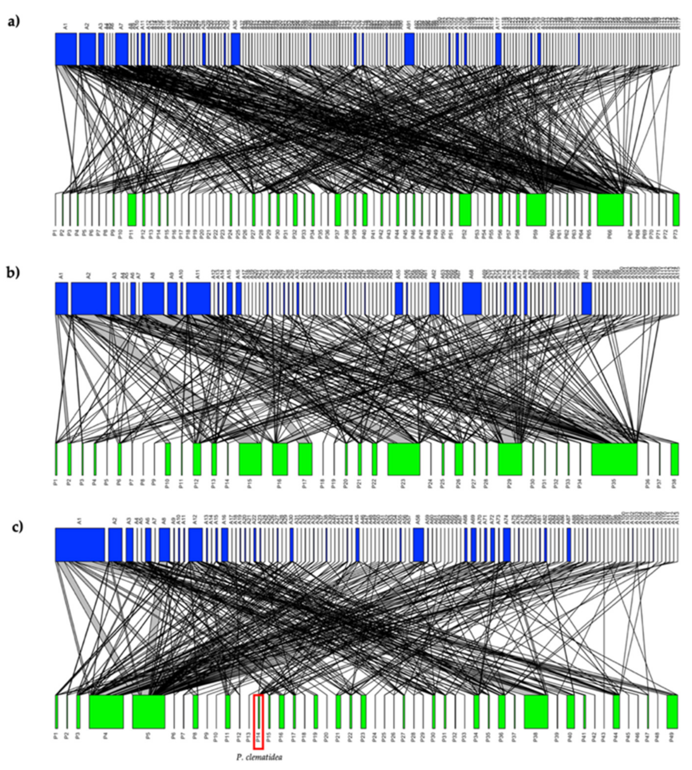 Plants 11 01976 g003