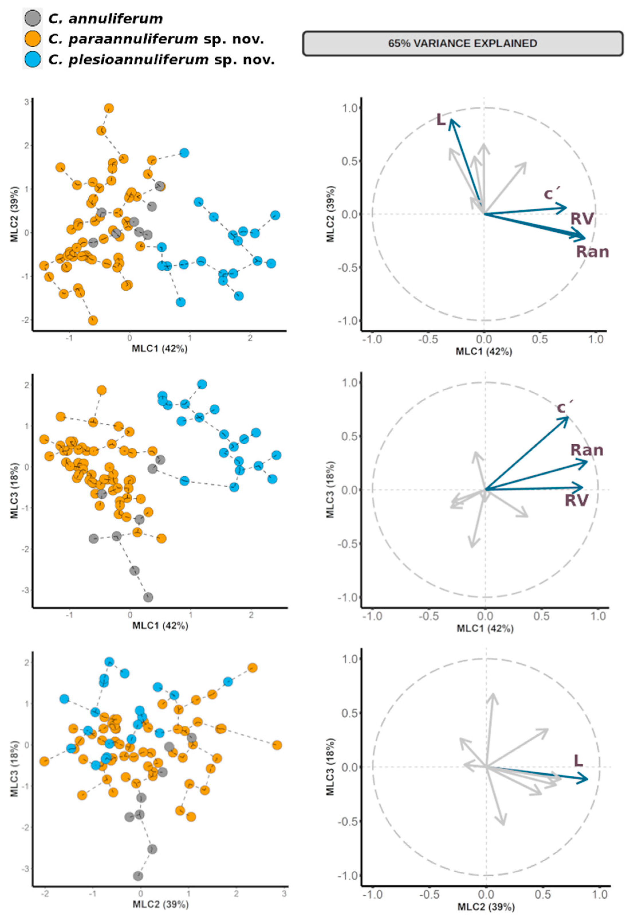 Plants 11 01977 g002