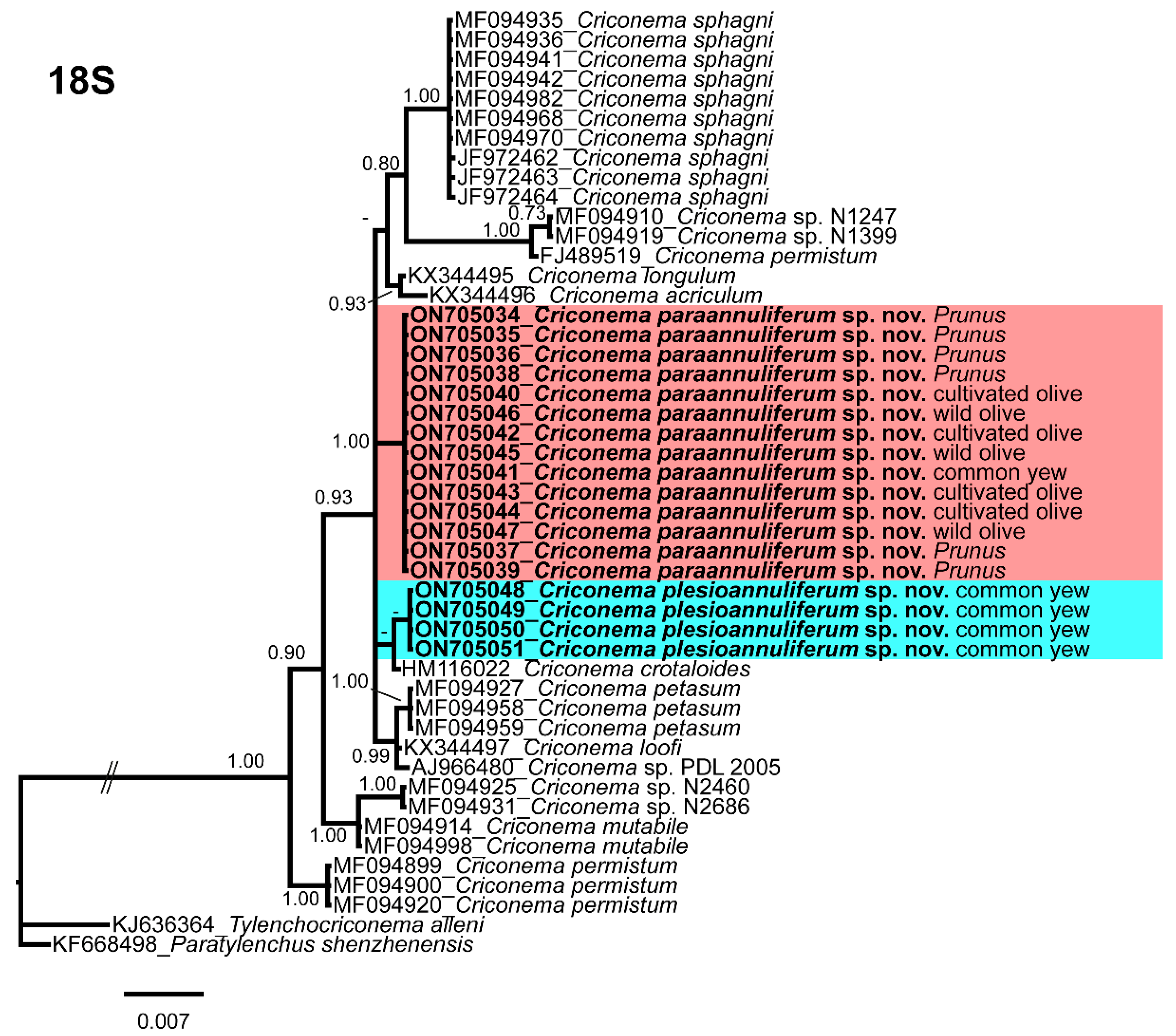 Plants 11 01977 g015