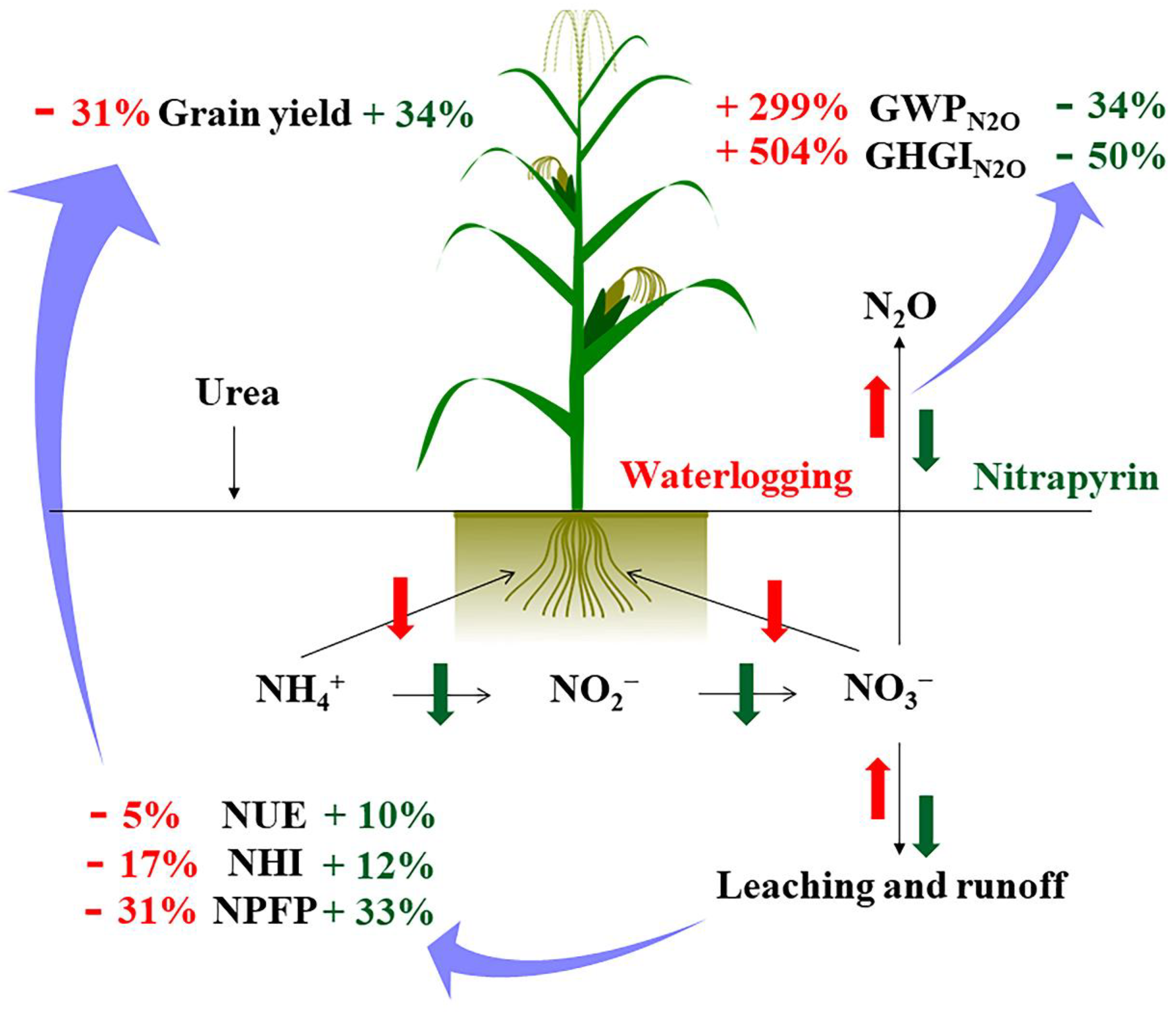 Plants 11 01983 g005