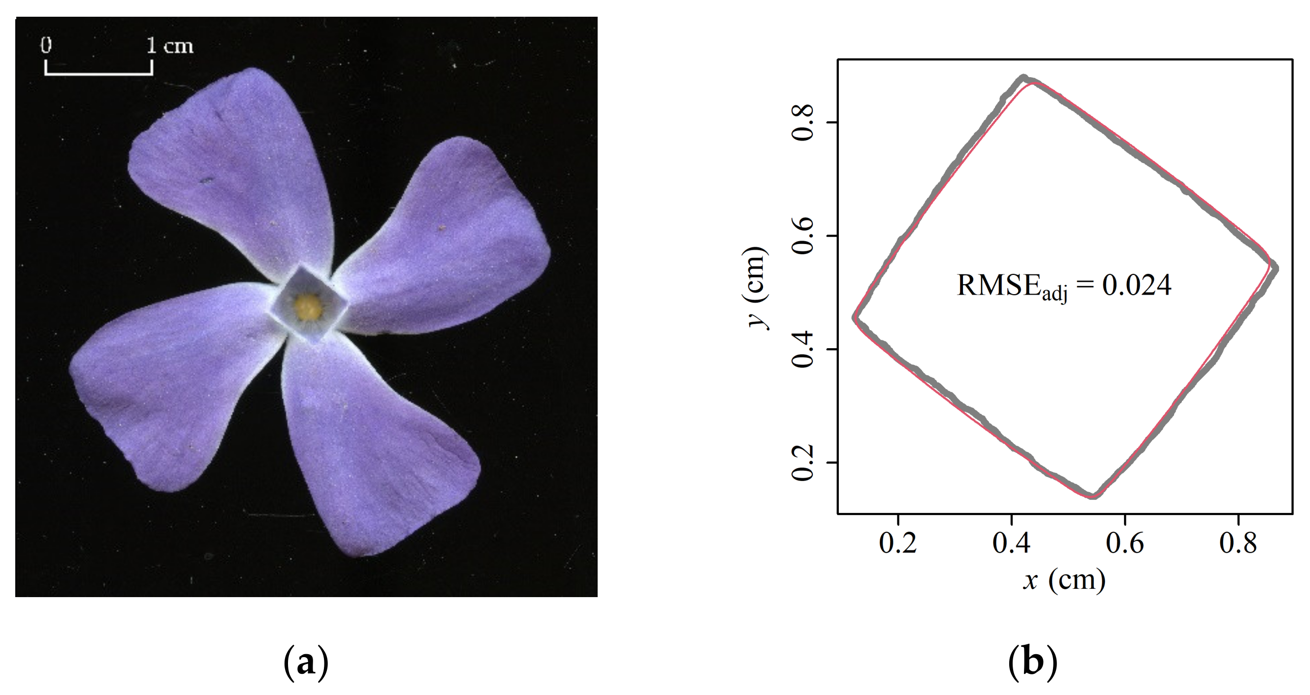 Plants 11 01987 g006