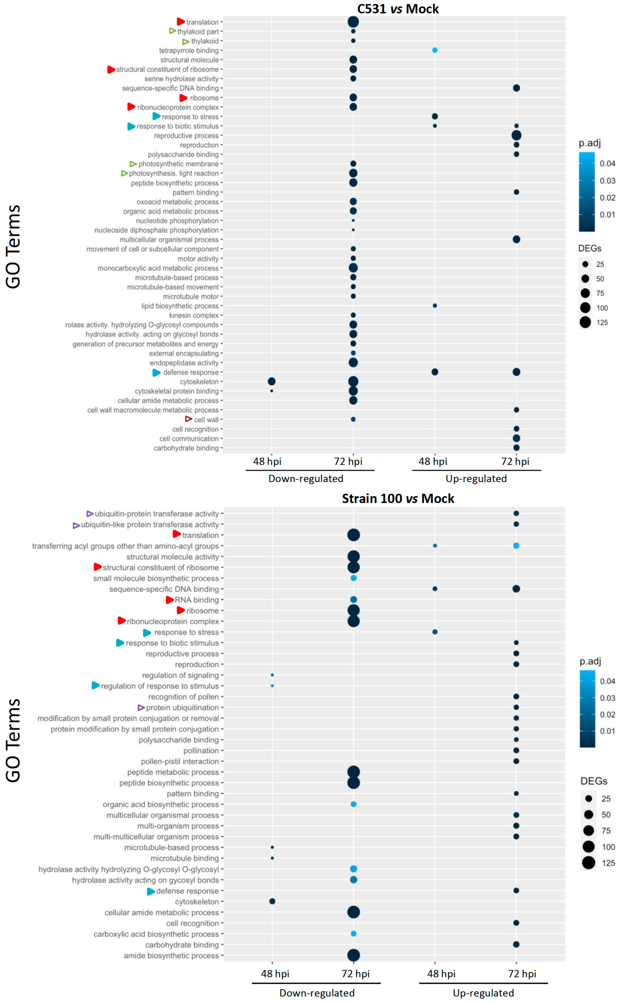 Plants 11 01995 g004 Plants 11 01995 g004