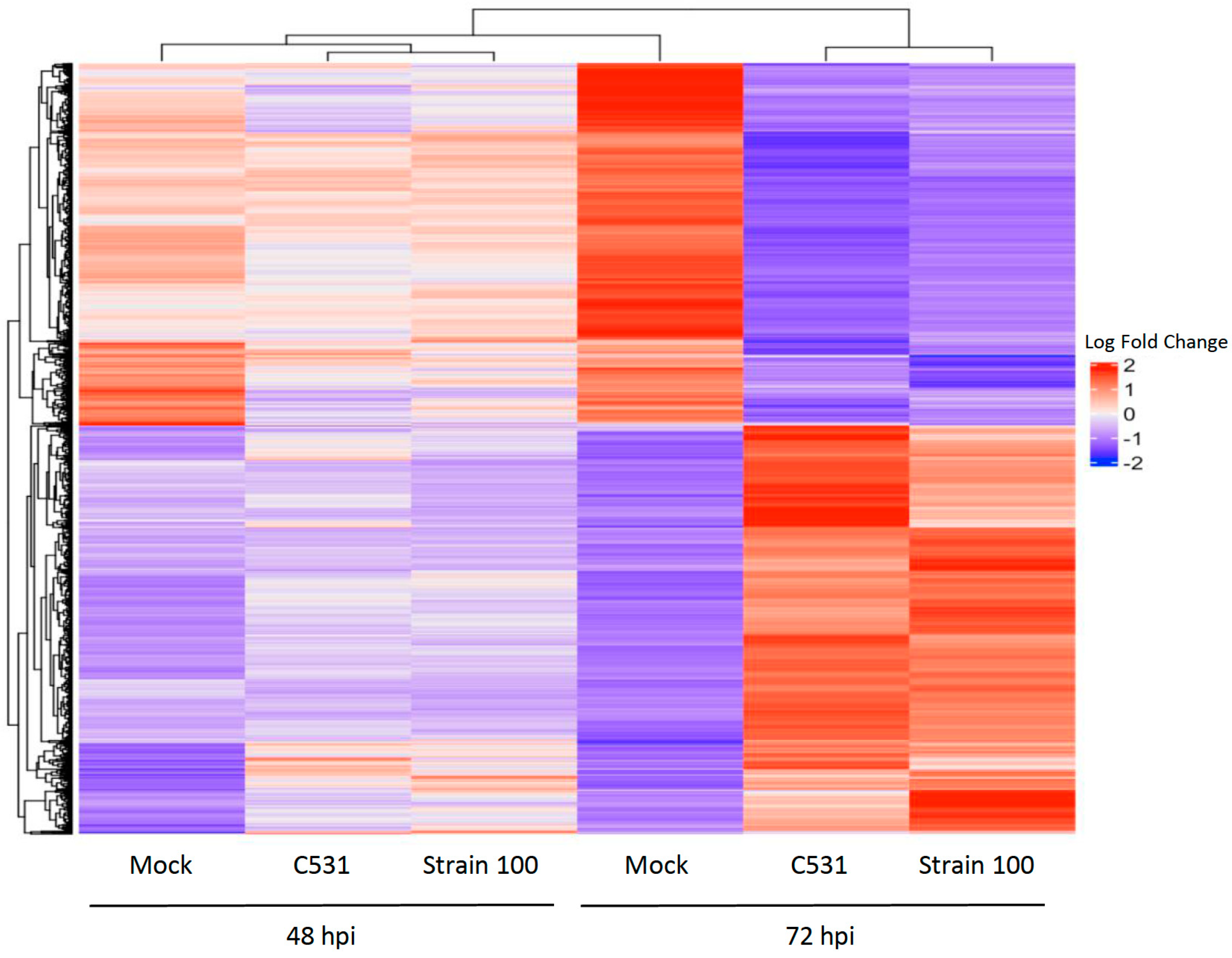 Plants 11 01995 g005 Plants 11 01995 g005