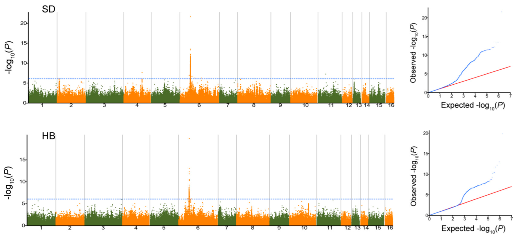 Plants 11 02005 g002