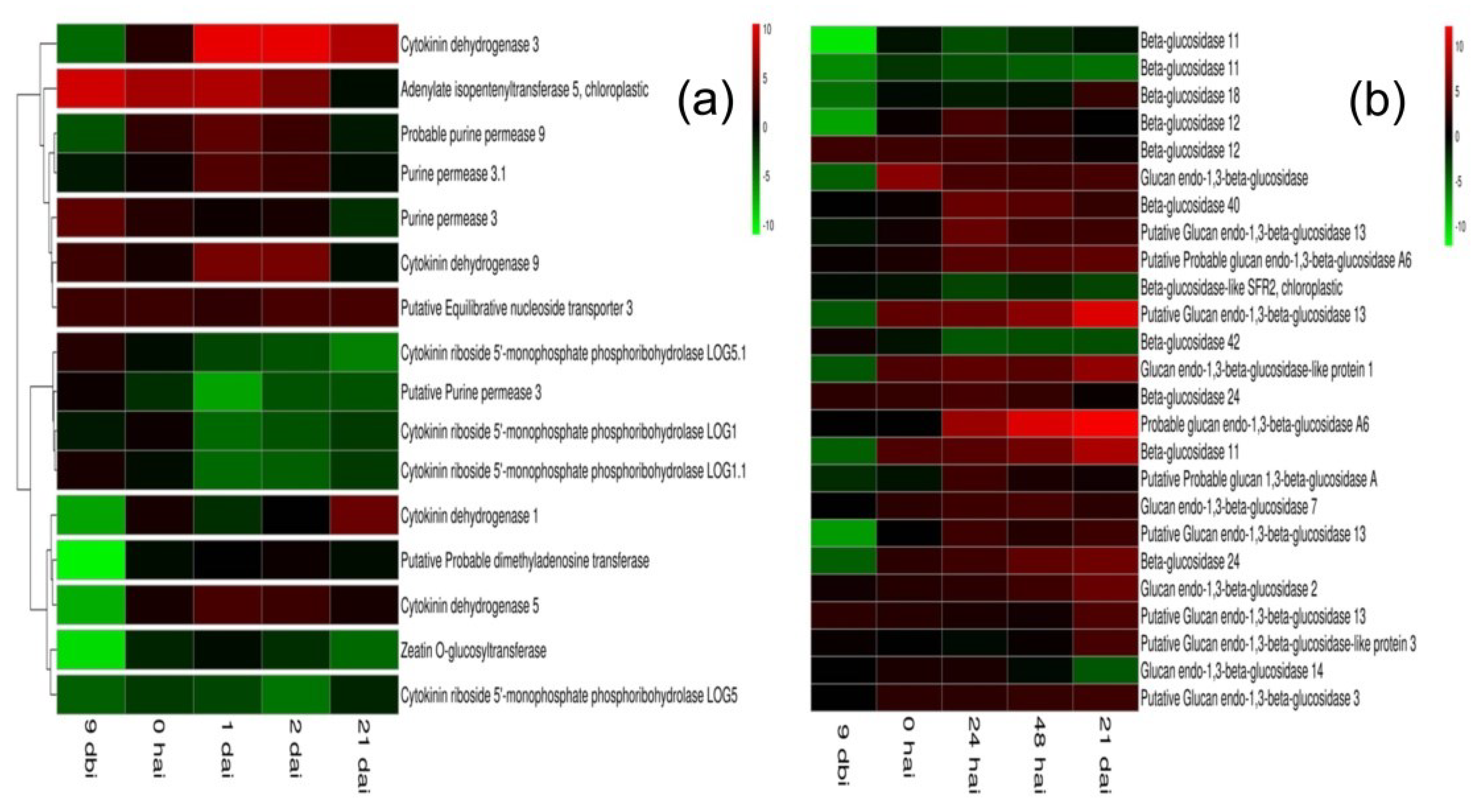 Plants 11 02013 g002