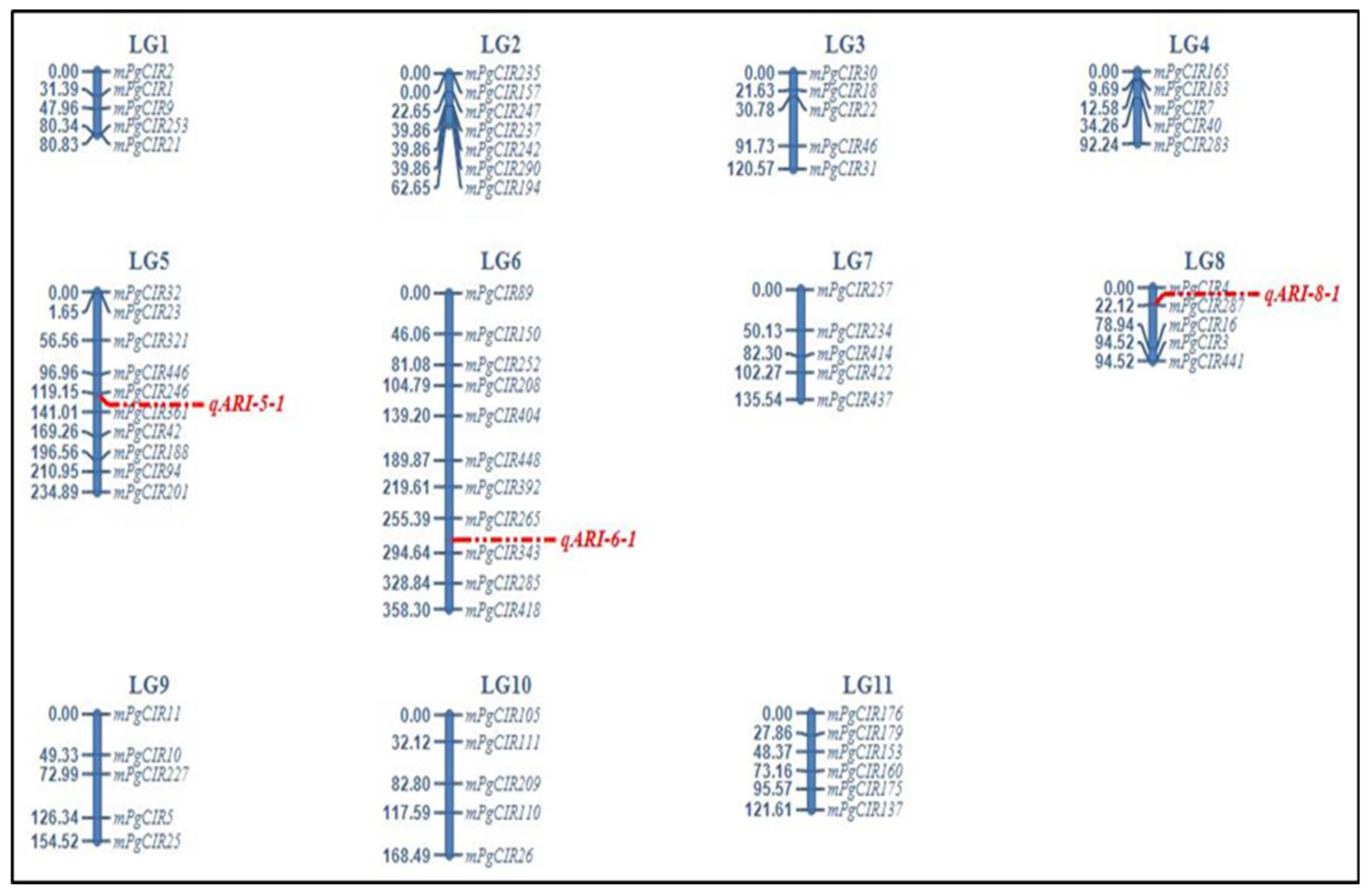 Plants 11 02014 g004