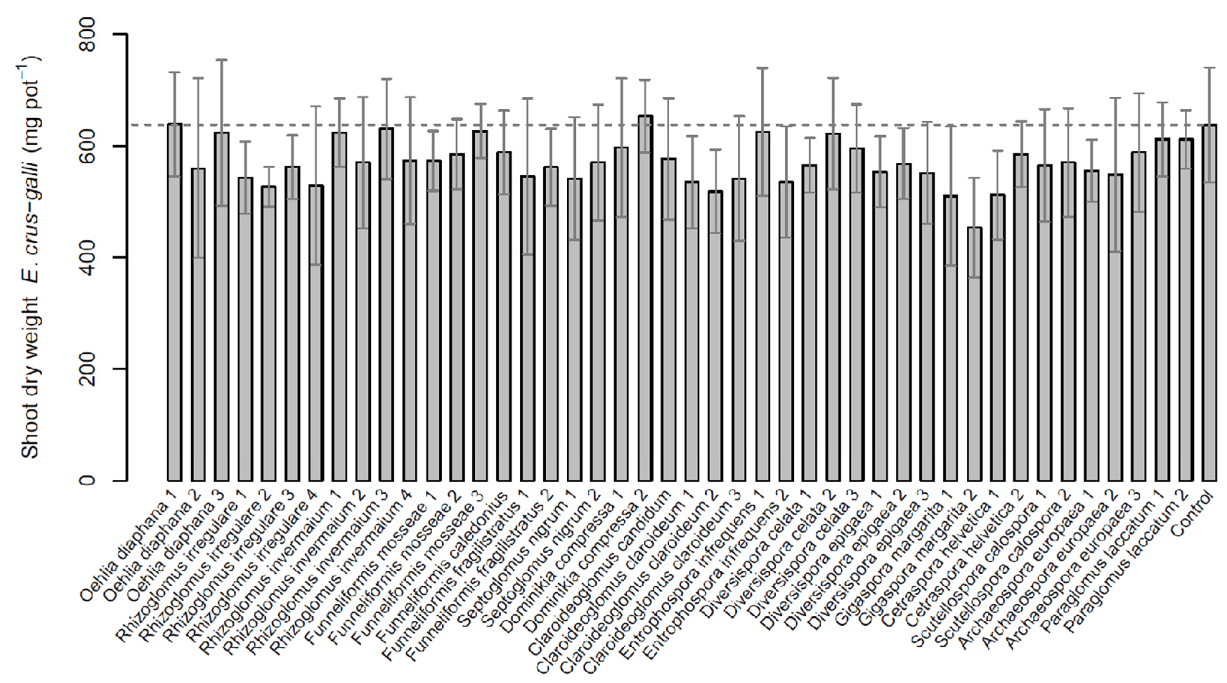 Plants 11 02020 g001 Plants 11 02020 g001