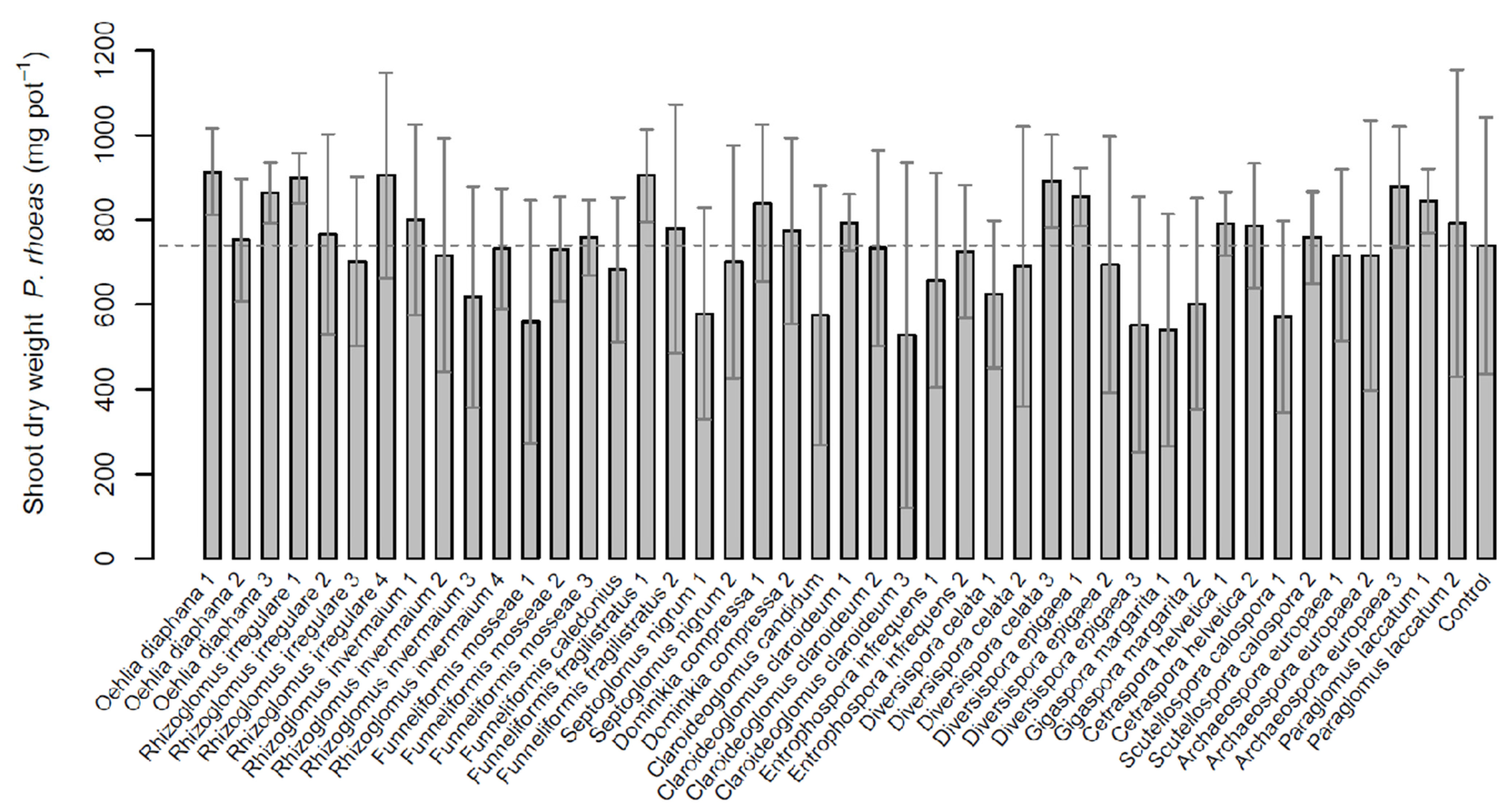 Plants 11 02020 g003 Plants 11 02020 g003