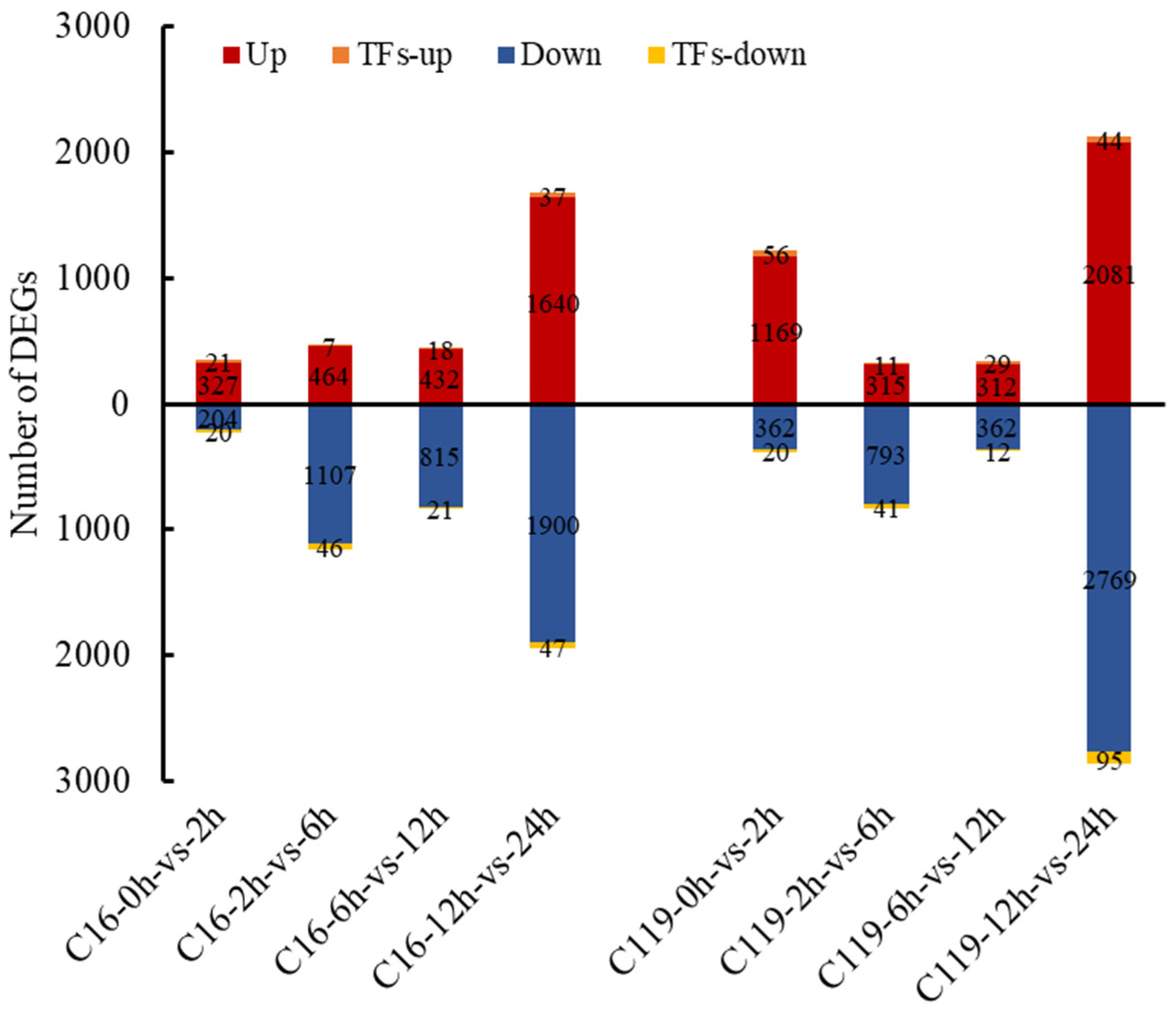 Plants 11 02024 g004