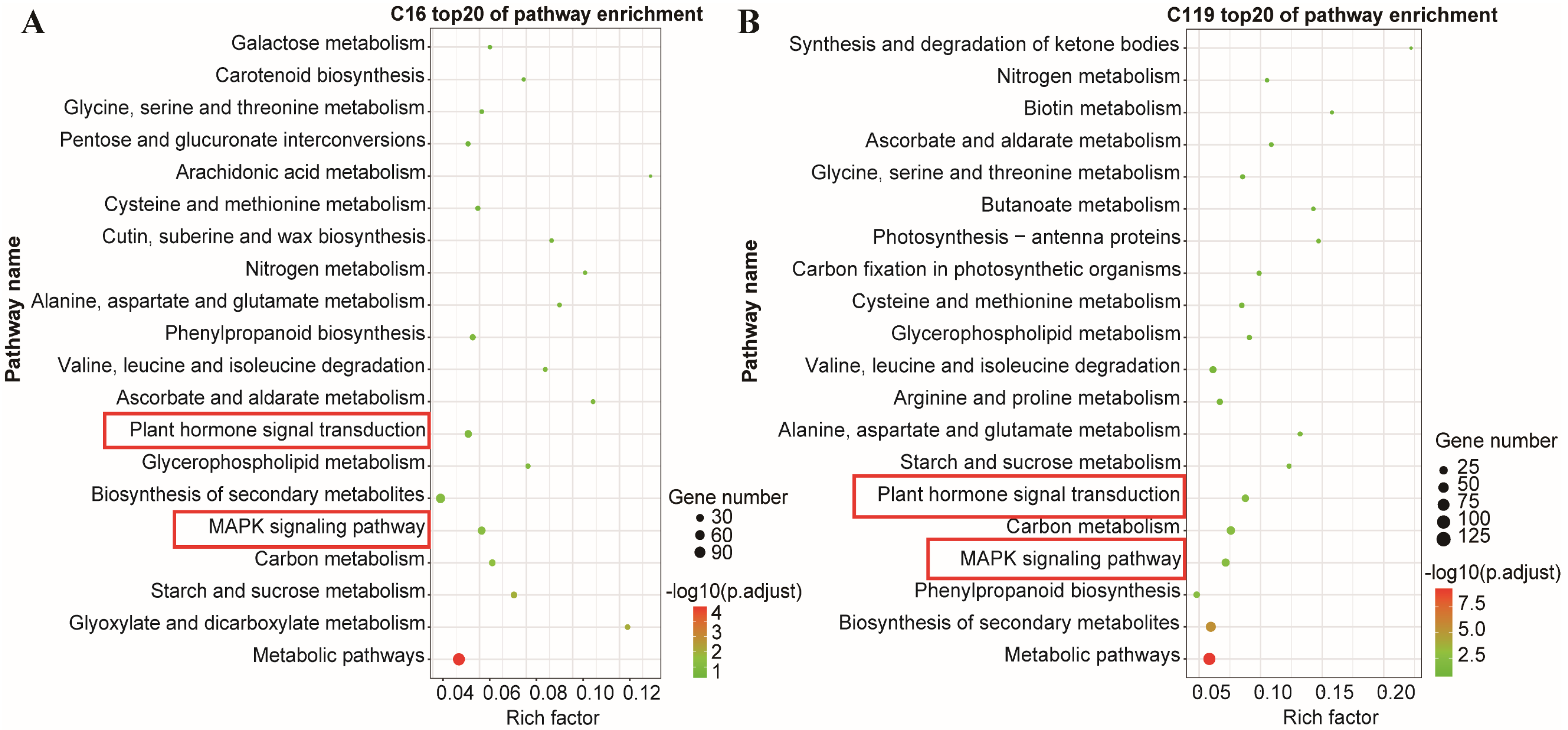 Plants 11 02024 g005