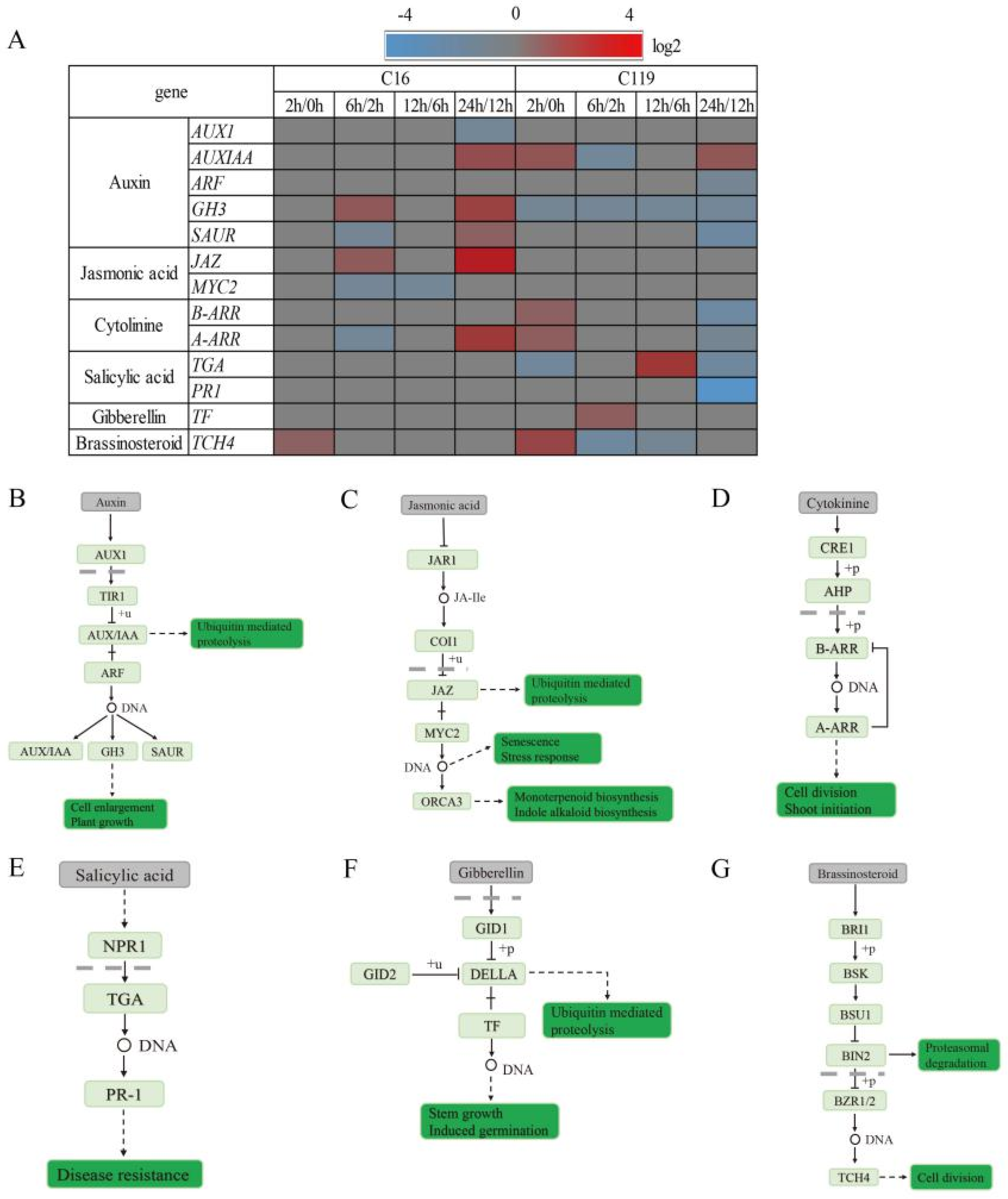 Plants 11 02024 g007