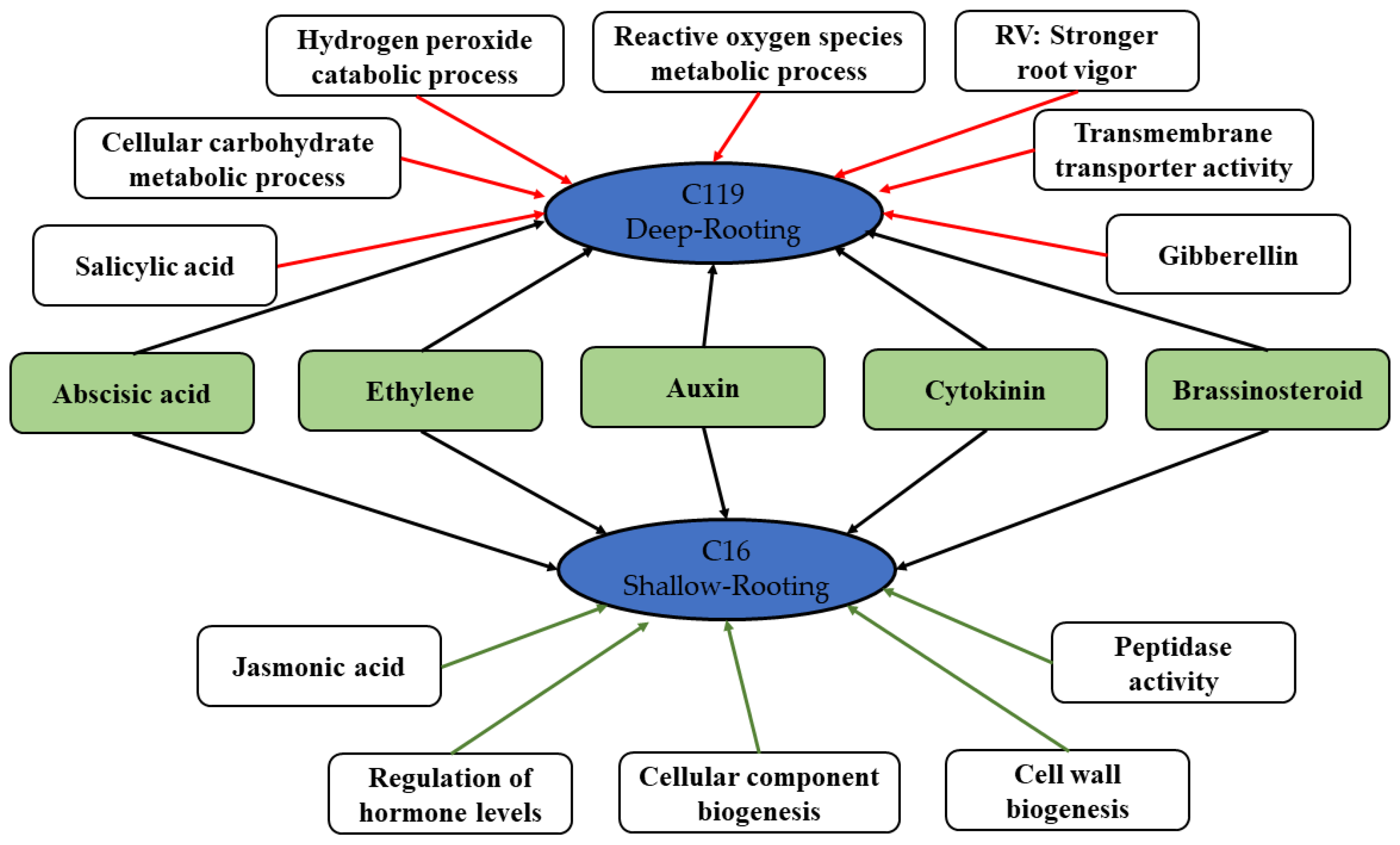 Plants 11 02024 g009