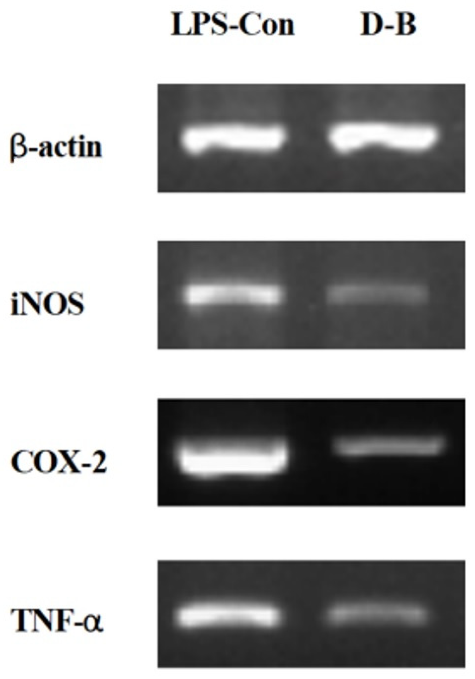 Plants 11 02035 g007