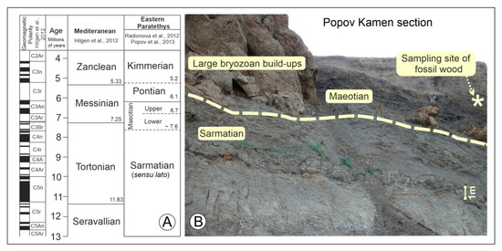 Plants 11 02050 g004 550