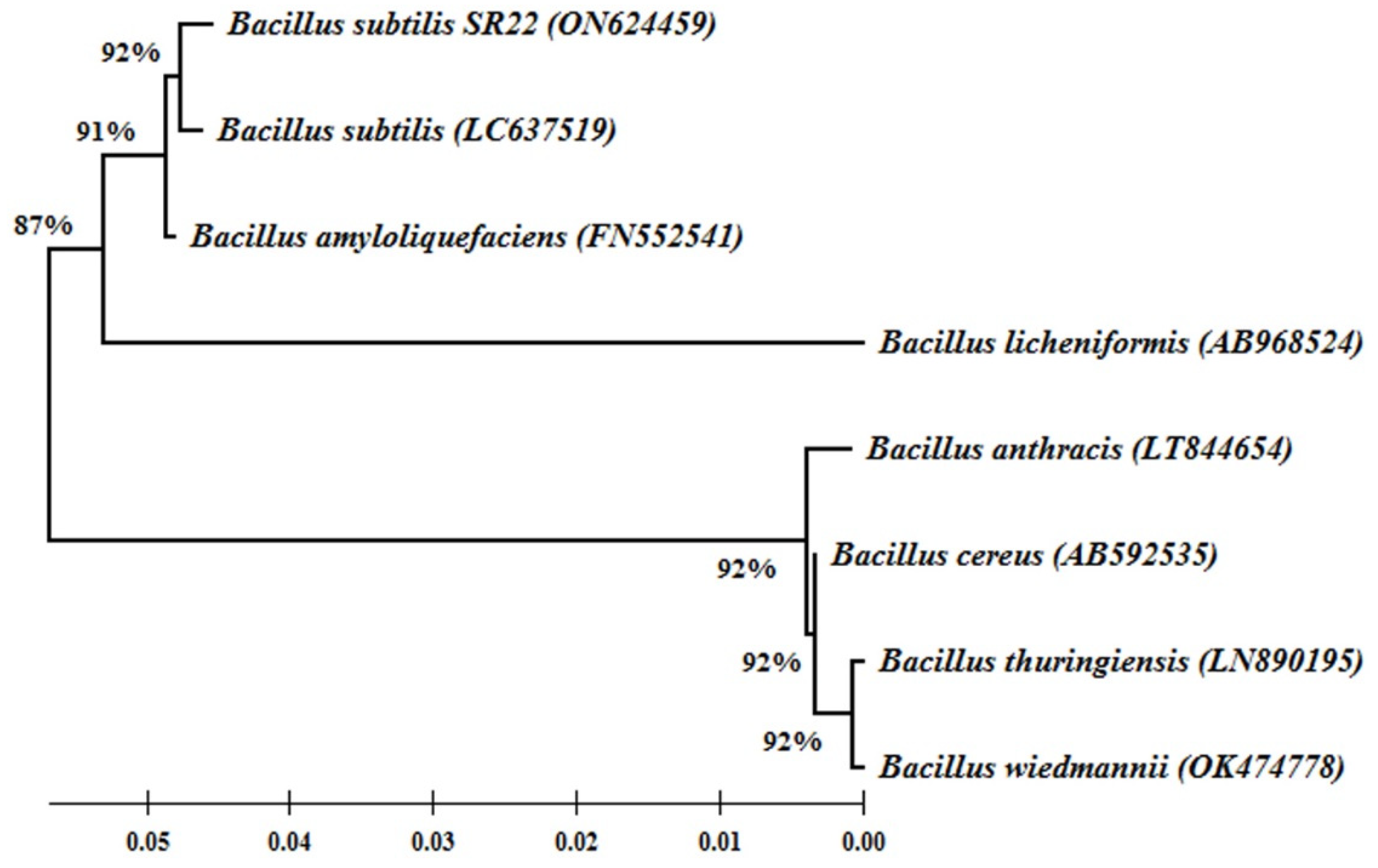 Plants 11 02051 g001
