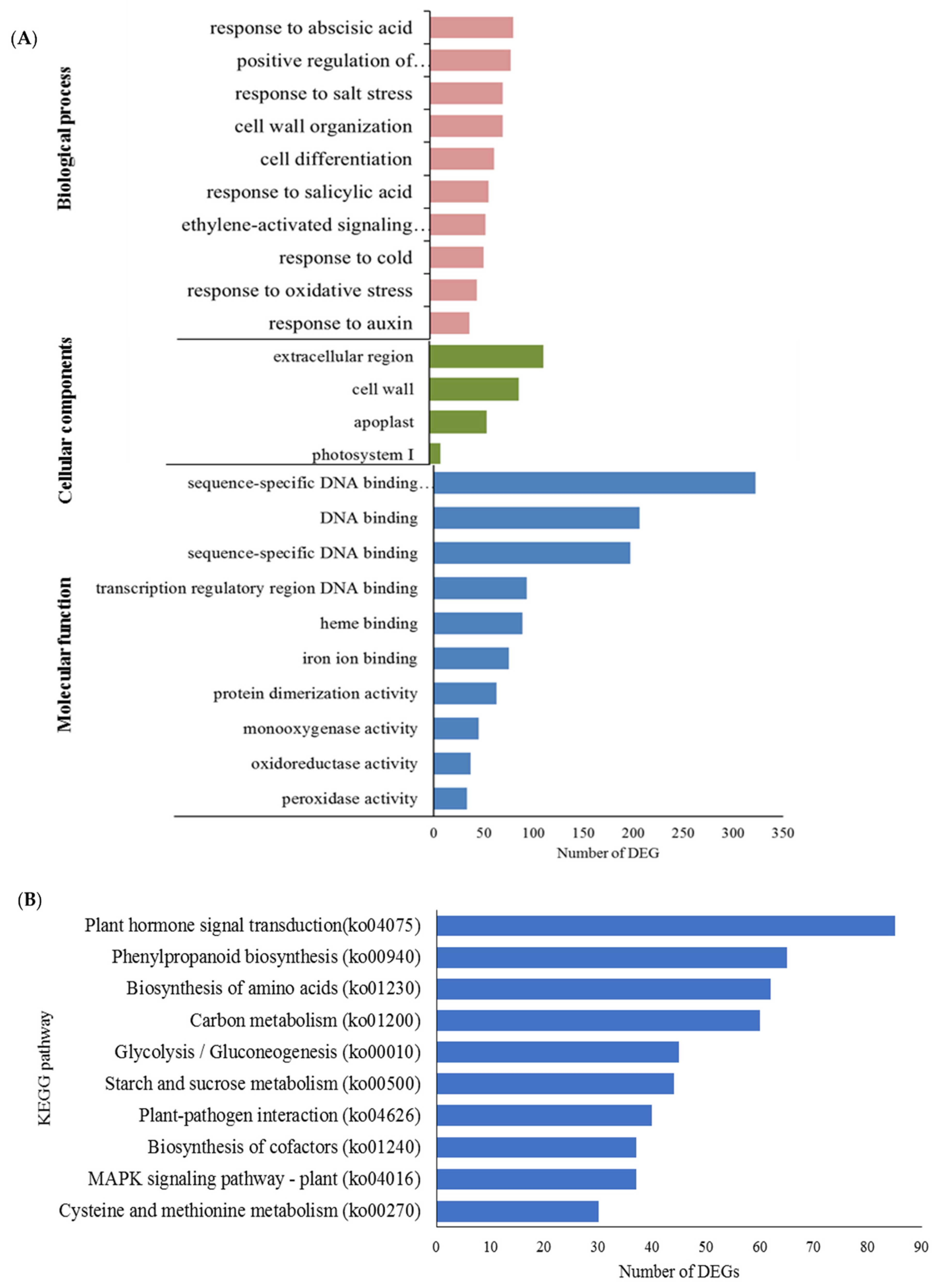 Plants 11 02052 g006