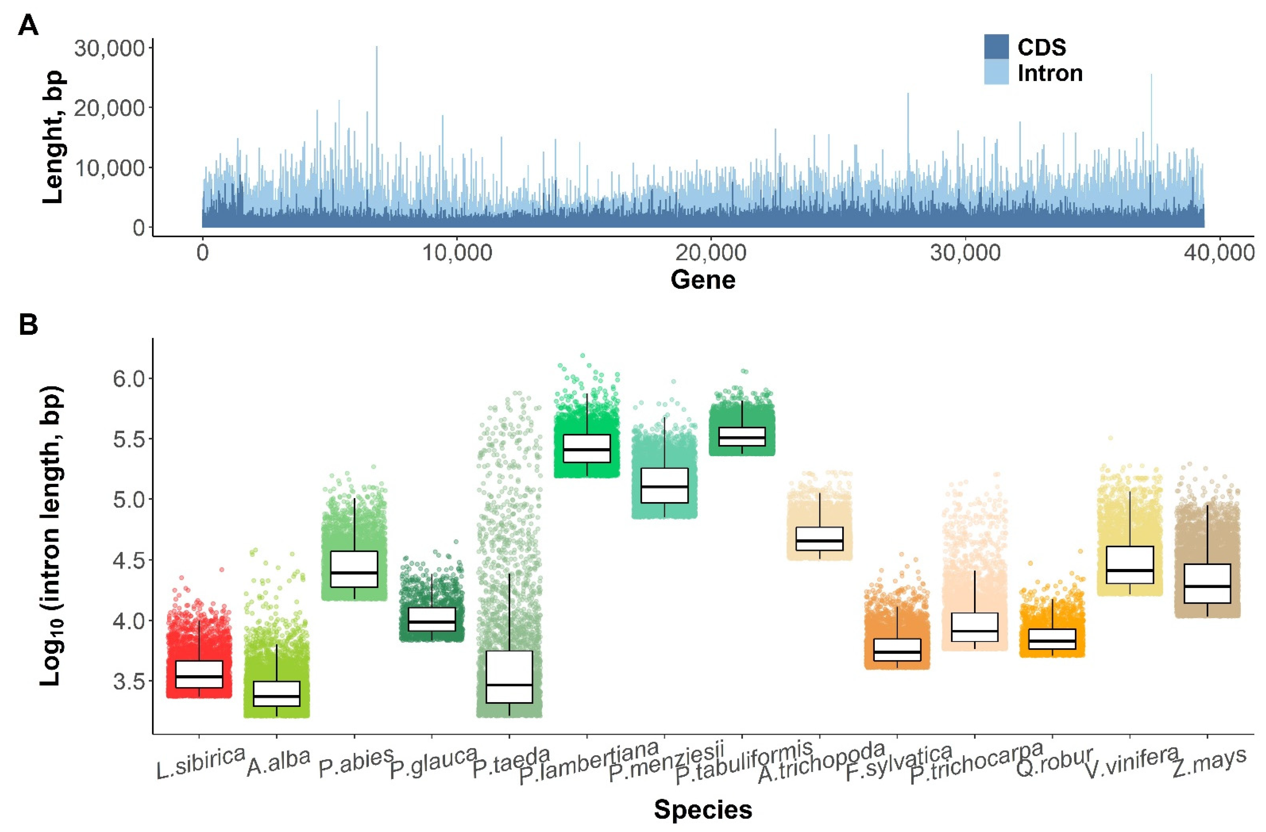 Plants 11 02062 g003