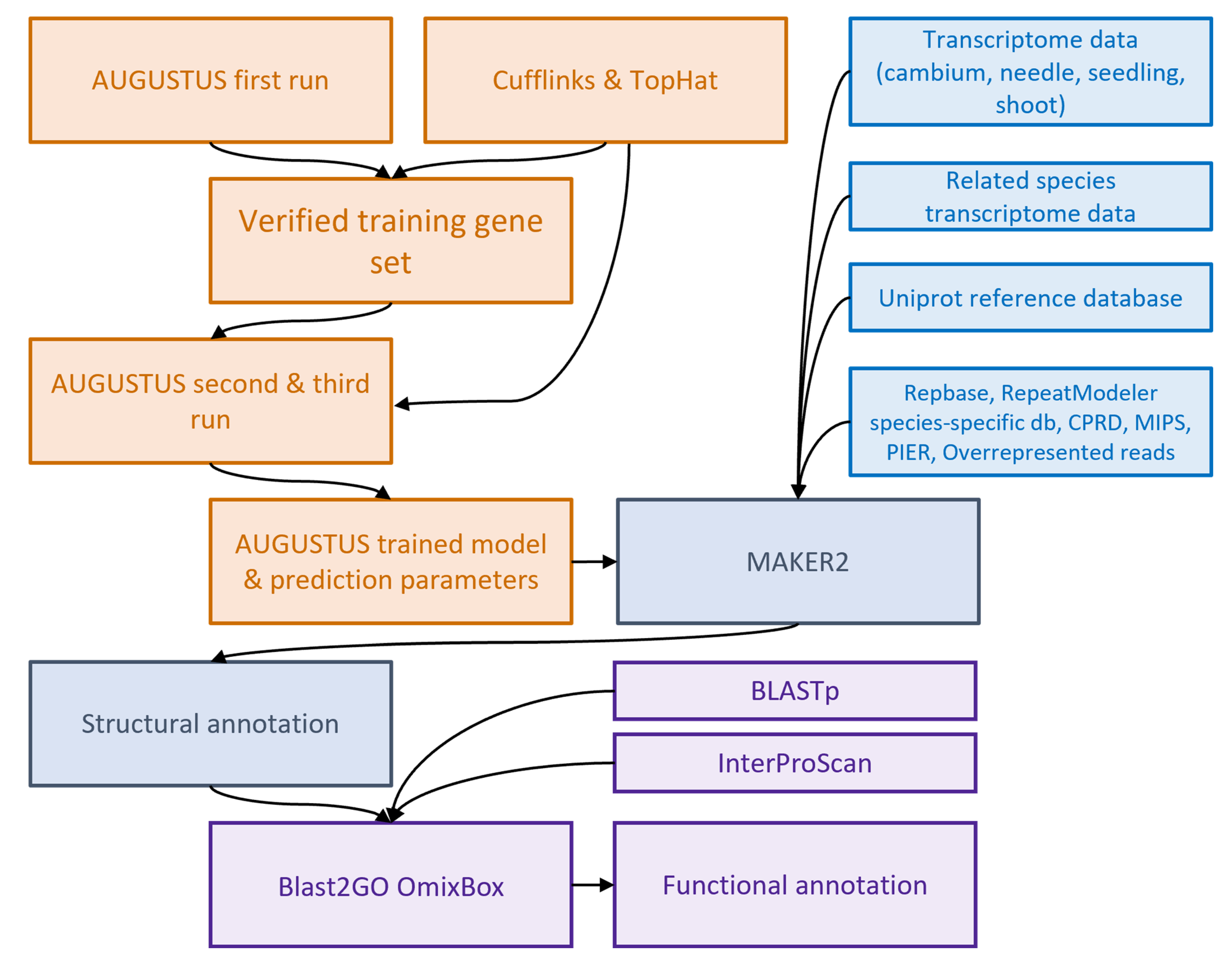 Plants 11 02062 g009